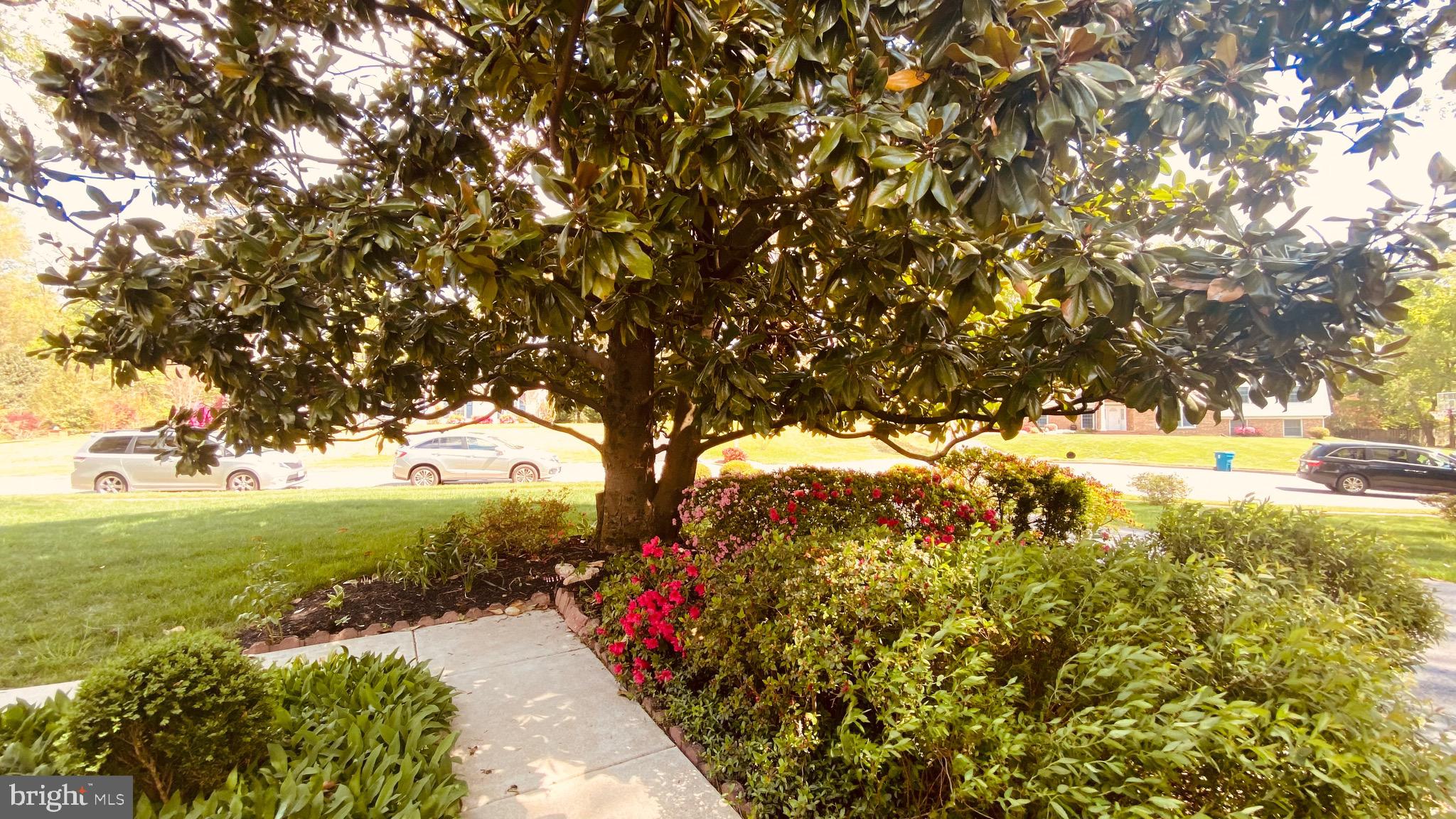 RUTHERFORD - Residential Lease