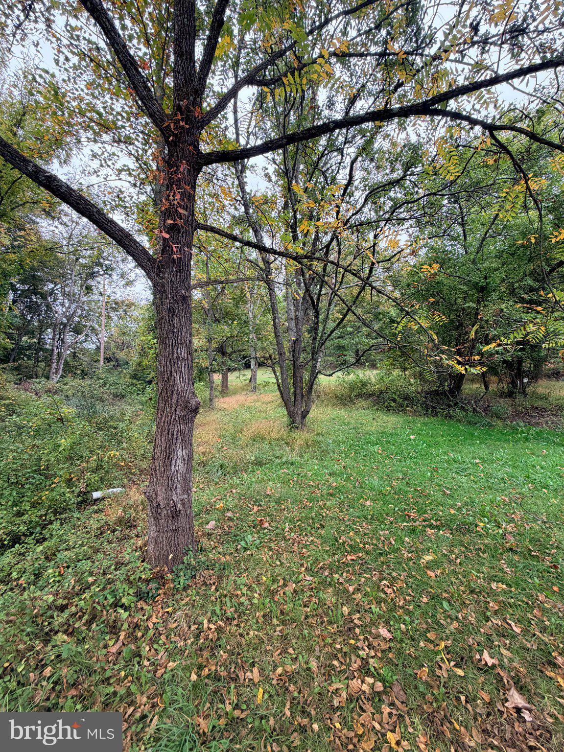 6957 FISHING CREEK VALLEY ROAD