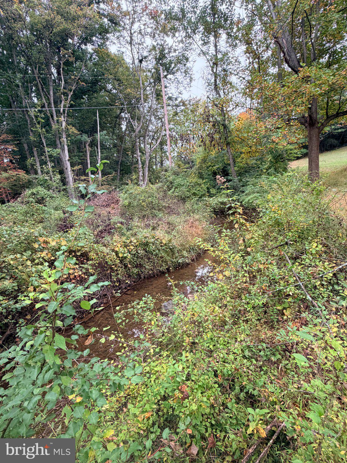 6957 FISHING CREEK VALLEY ROAD