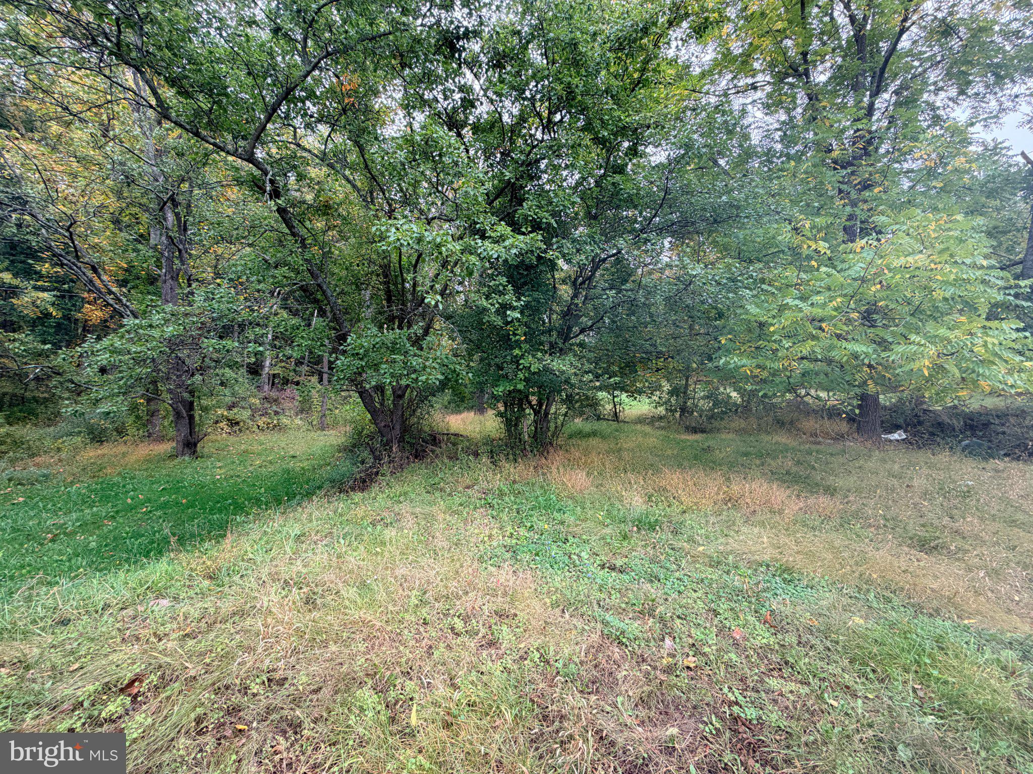 6957 FISHING CREEK VALLEY ROAD