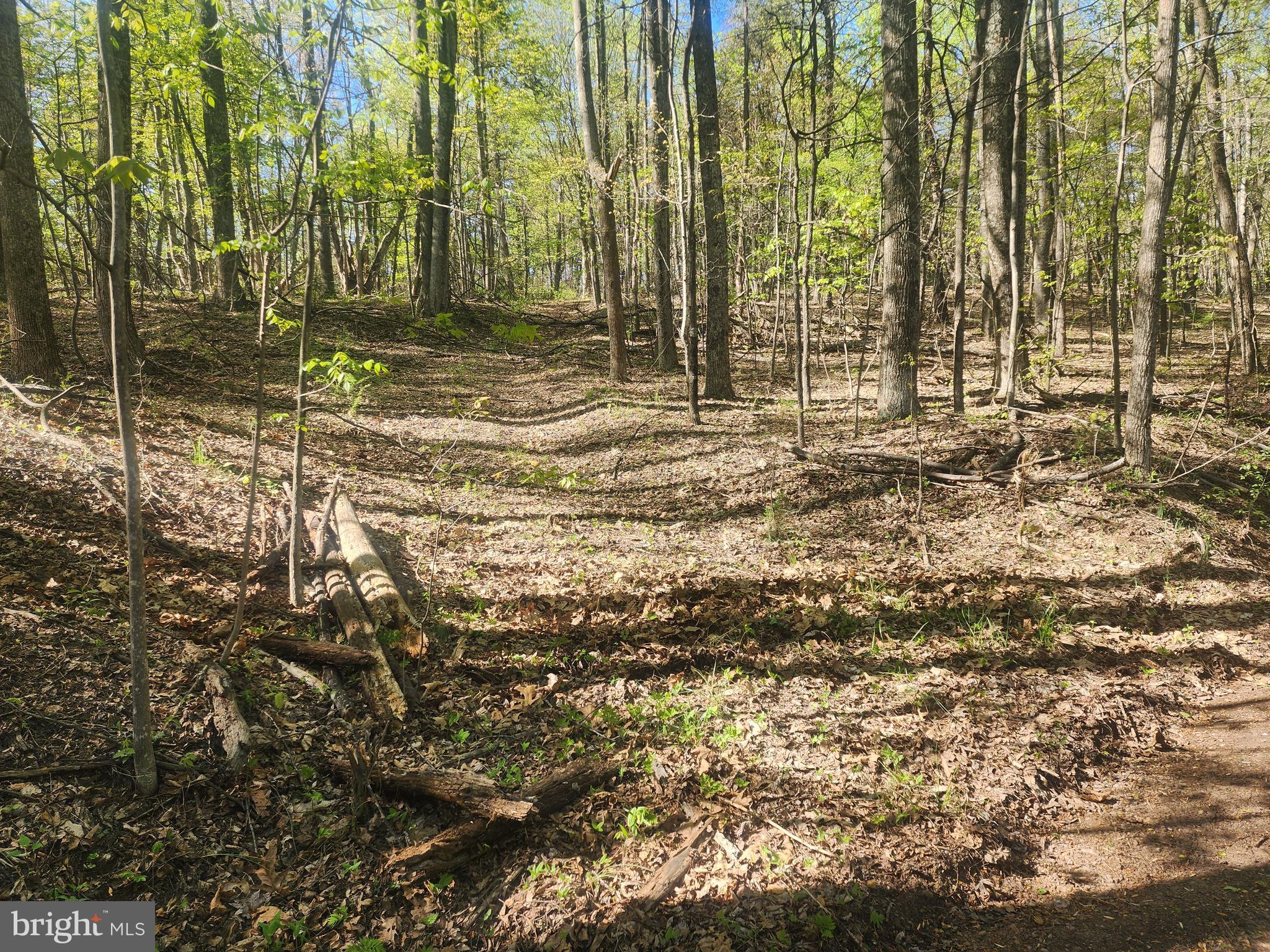 SPRING GAP MOUNTAIN - Land