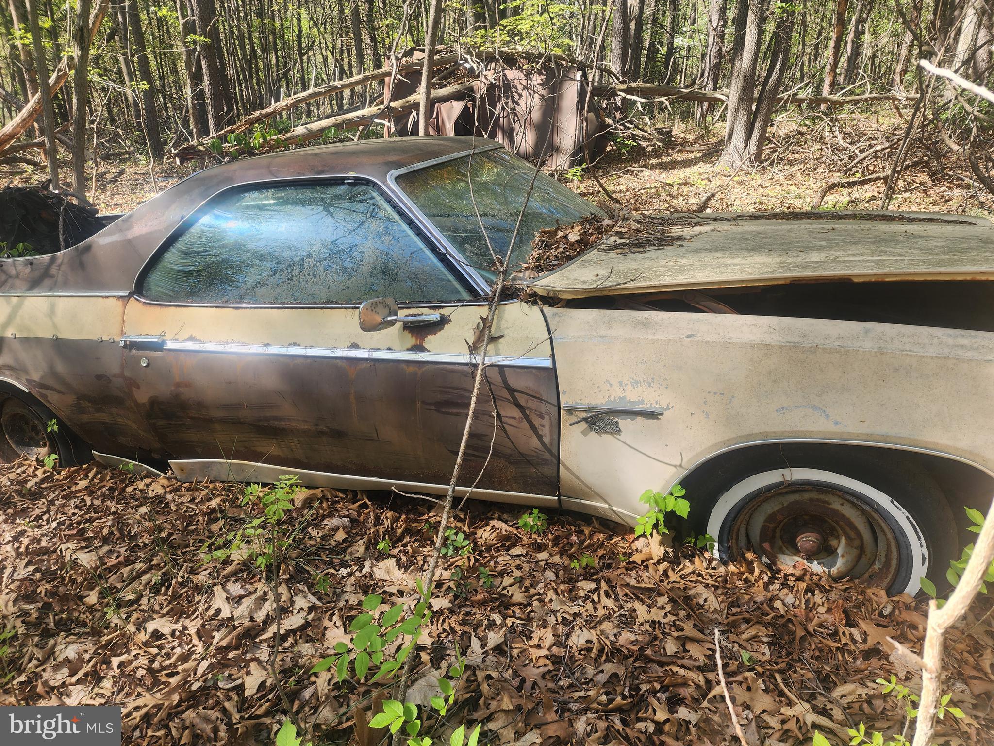 SPRING GAP MOUNTAIN - Land