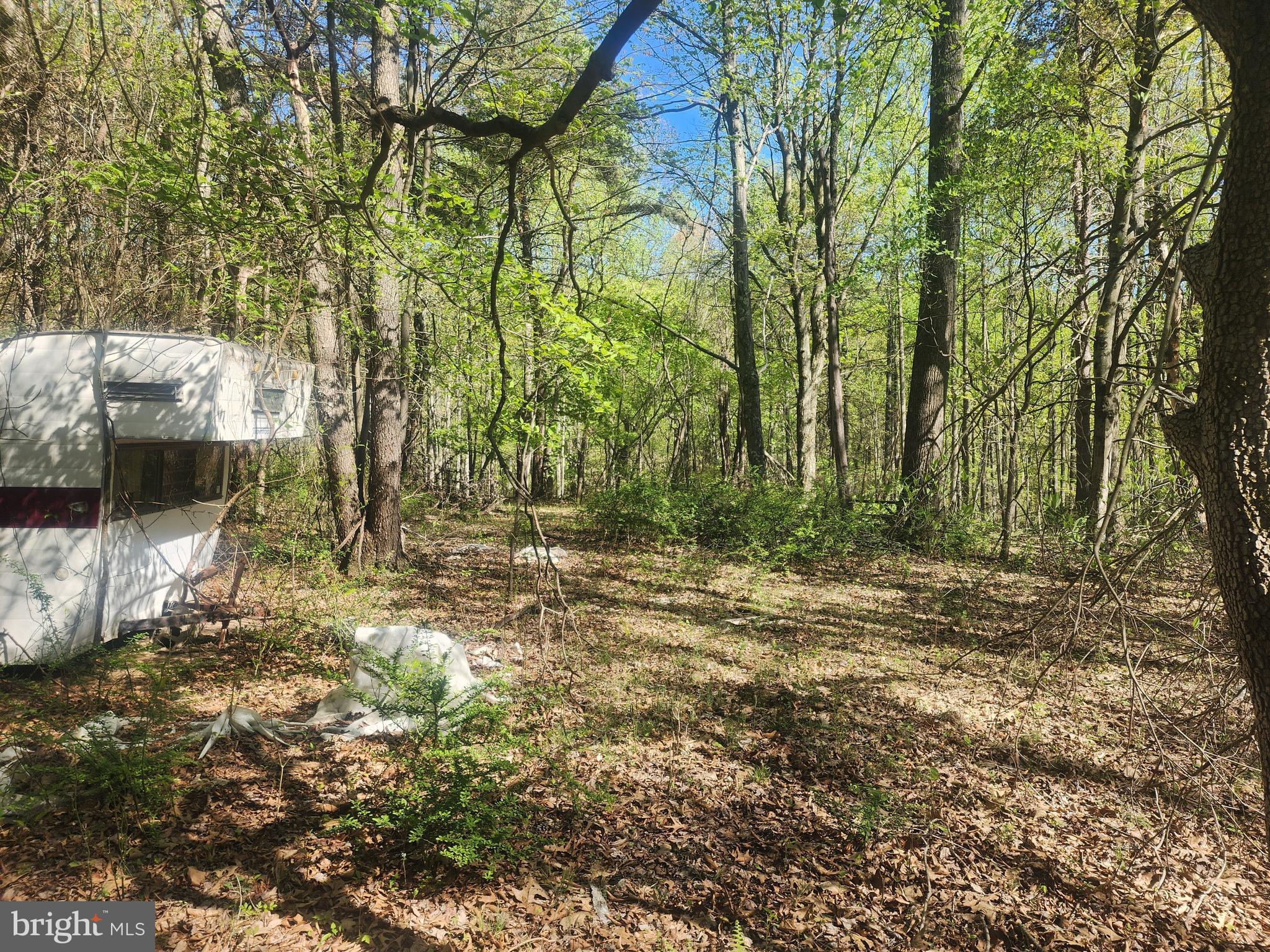 SPRING GAP MOUNTAIN - Land