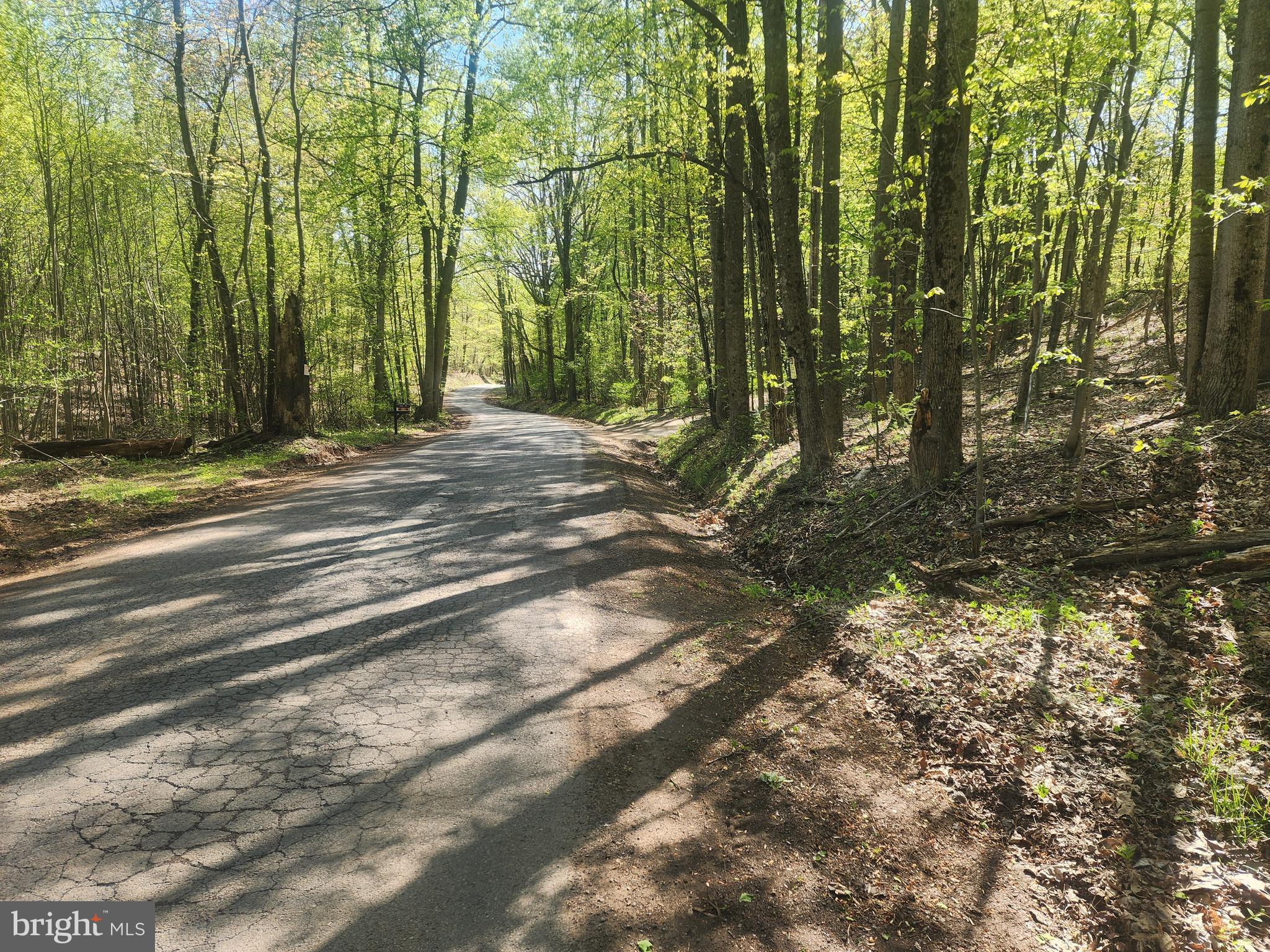 SPRING GAP MOUNTAIN - Land