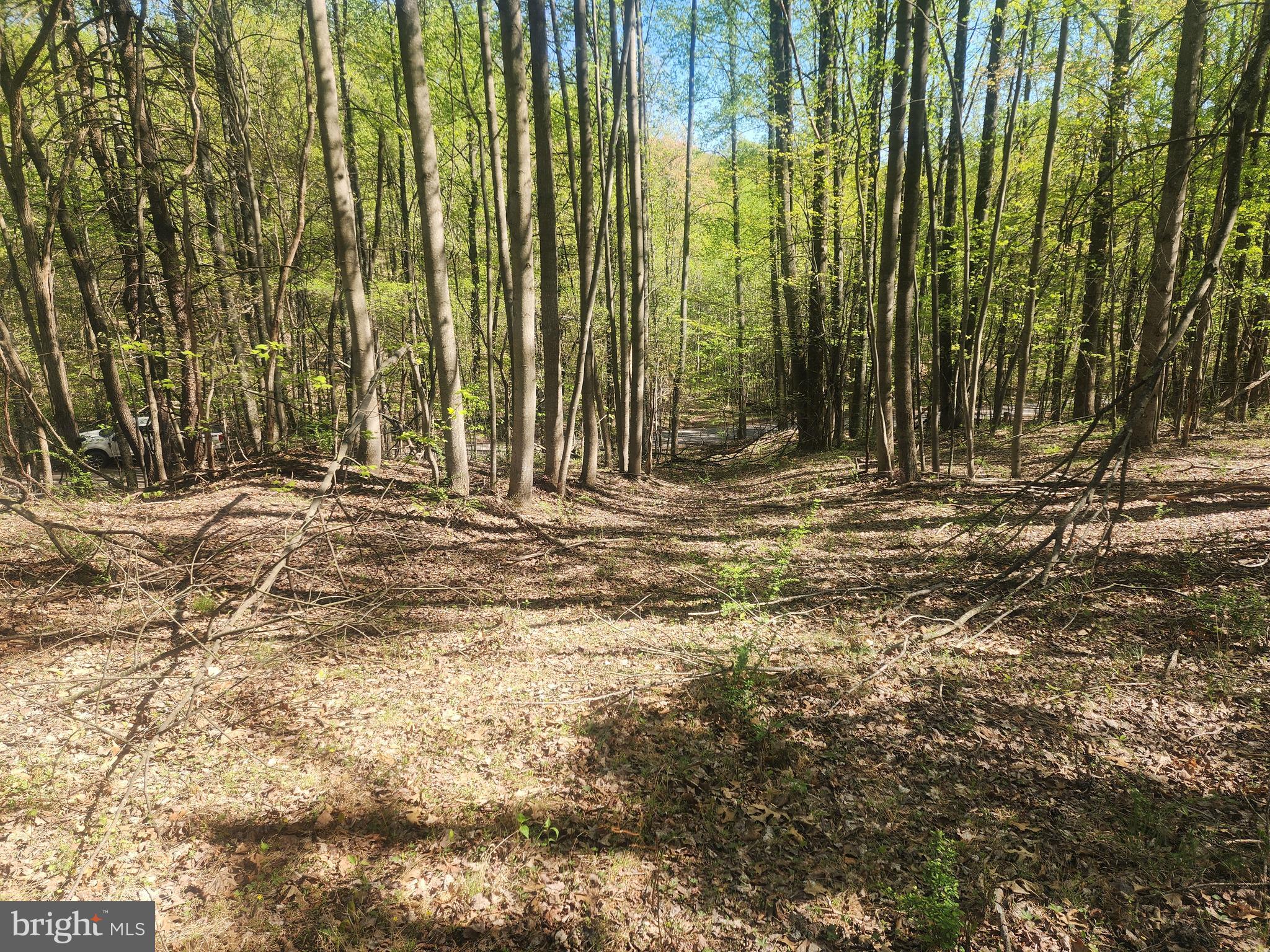 SPRING GAP MOUNTAIN - Land