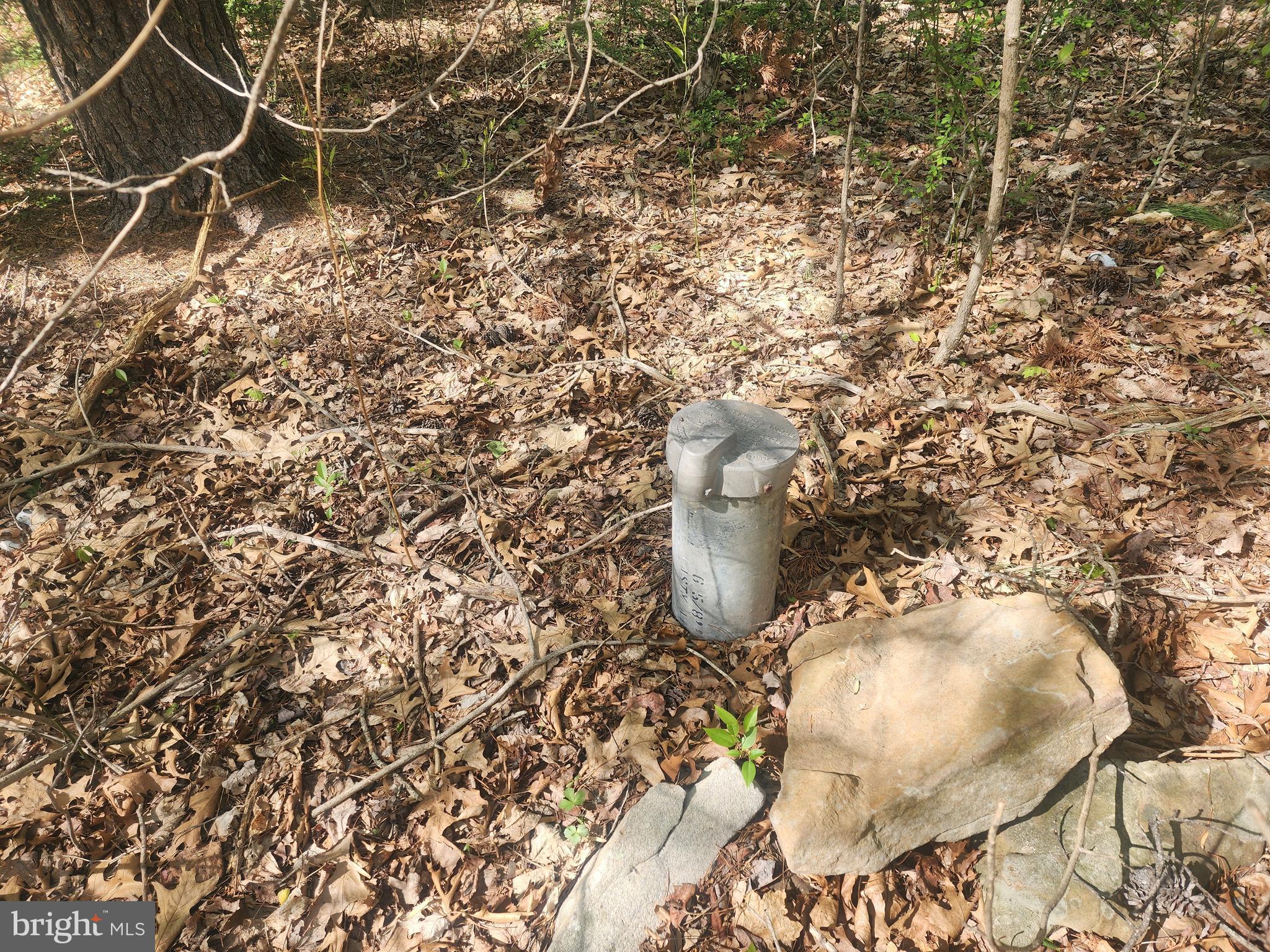 SPRING GAP MOUNTAIN - Land