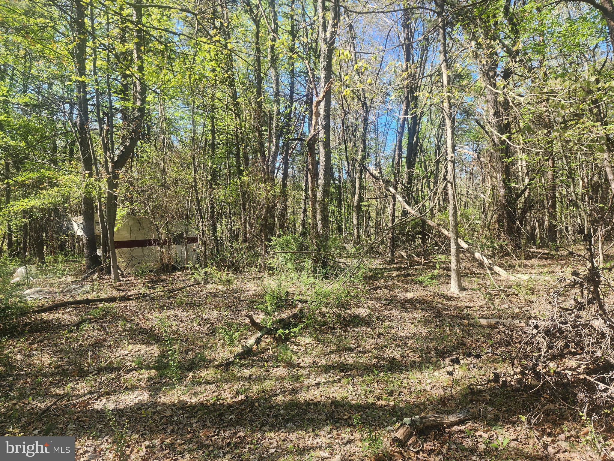 SPRING GAP MOUNTAIN - Land