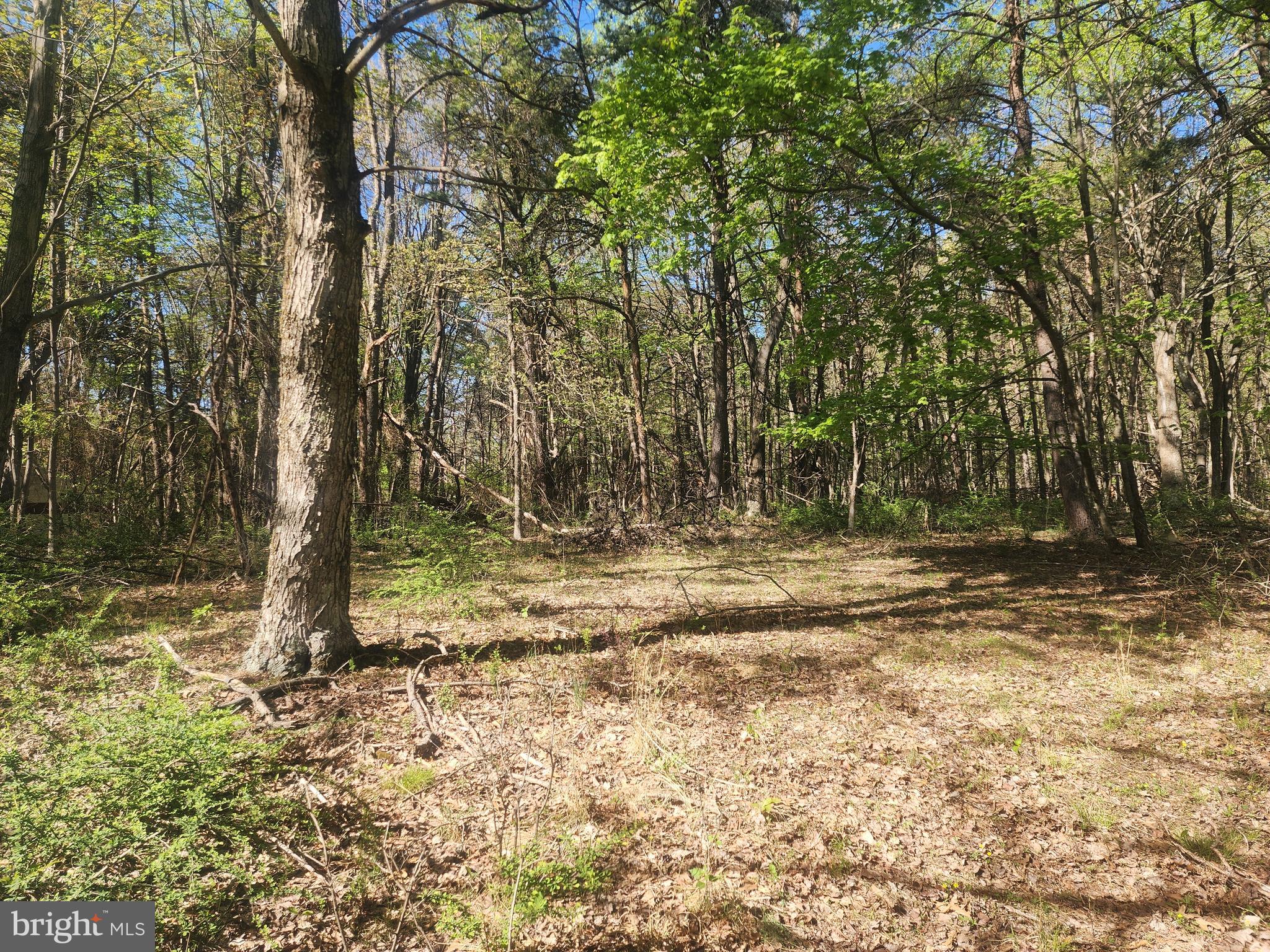 SPRING GAP MOUNTAIN - Land