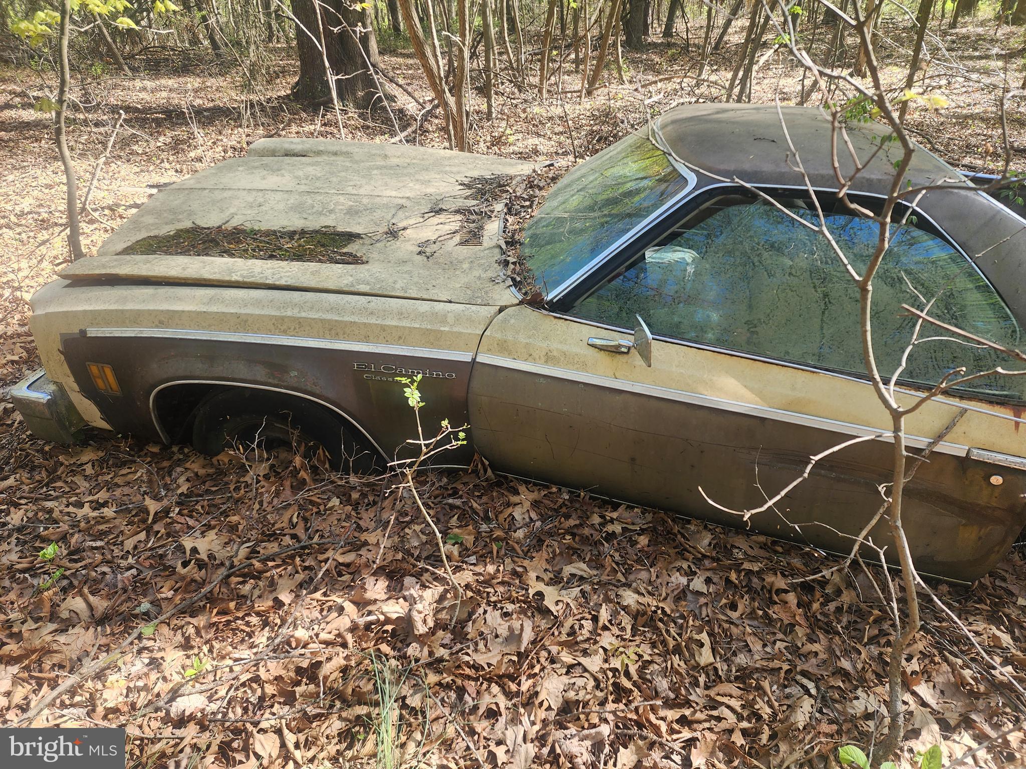 SPRING GAP MOUNTAIN - Land