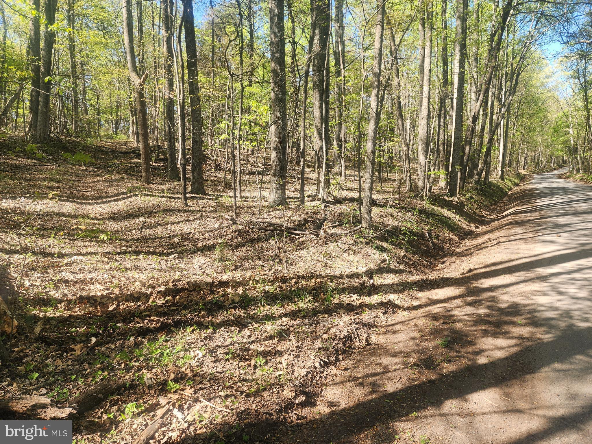 SPRING GAP MOUNTAIN - Land