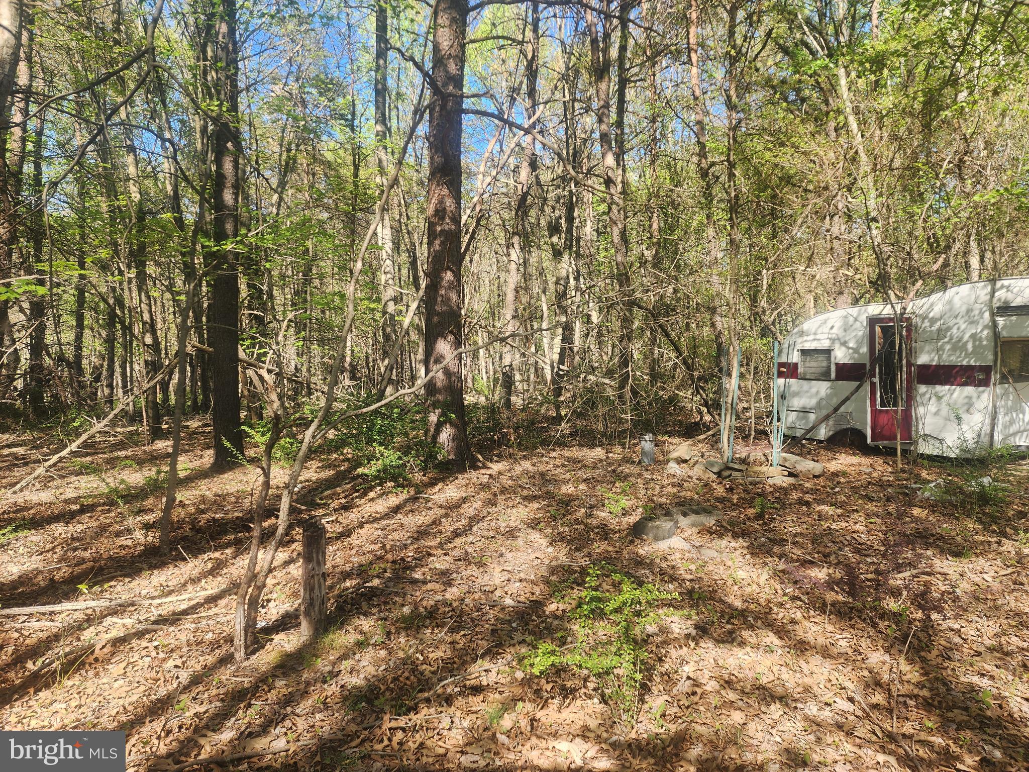 SPRING GAP MOUNTAIN - Land