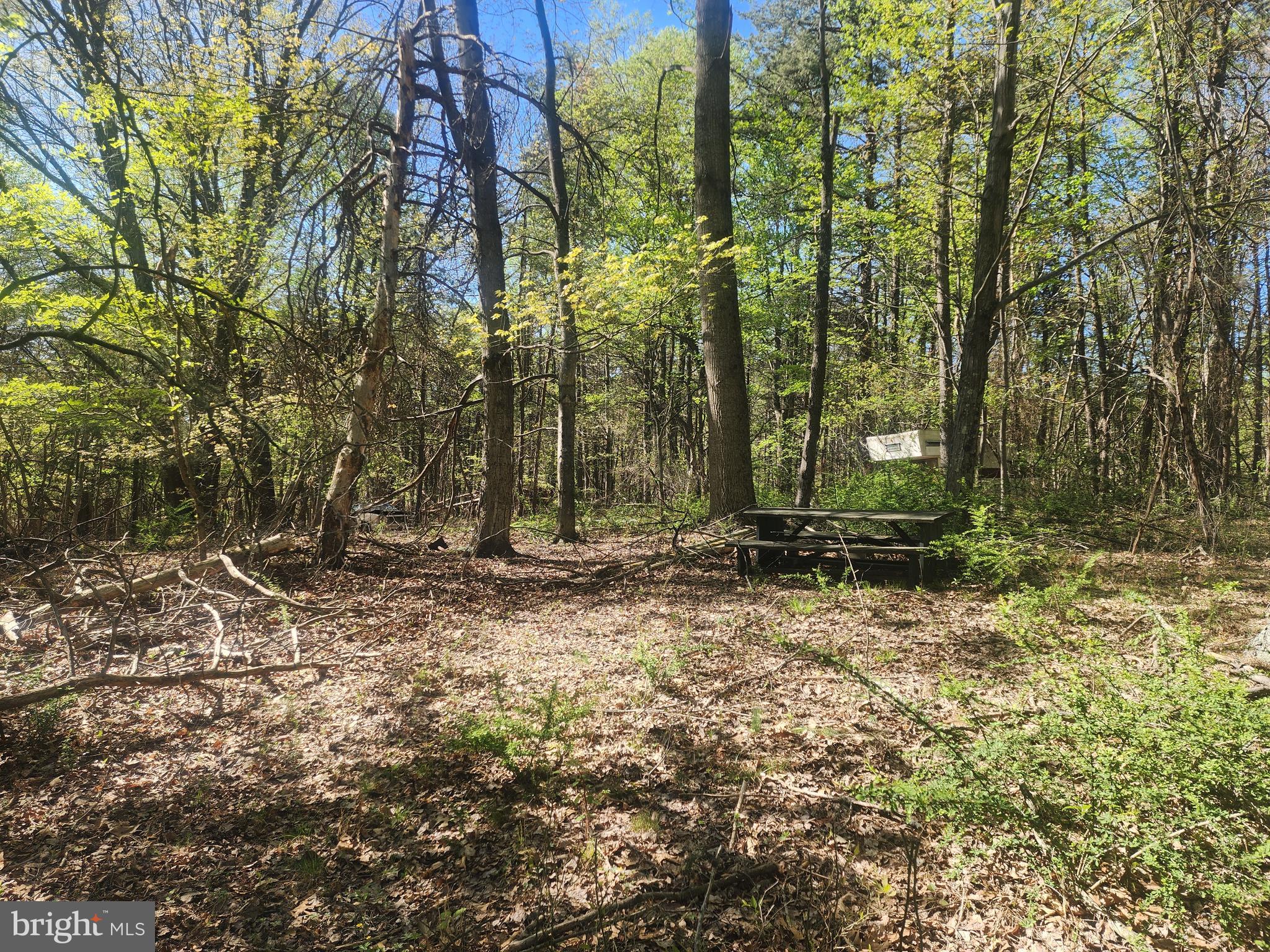 SPRING GAP MOUNTAIN - Land