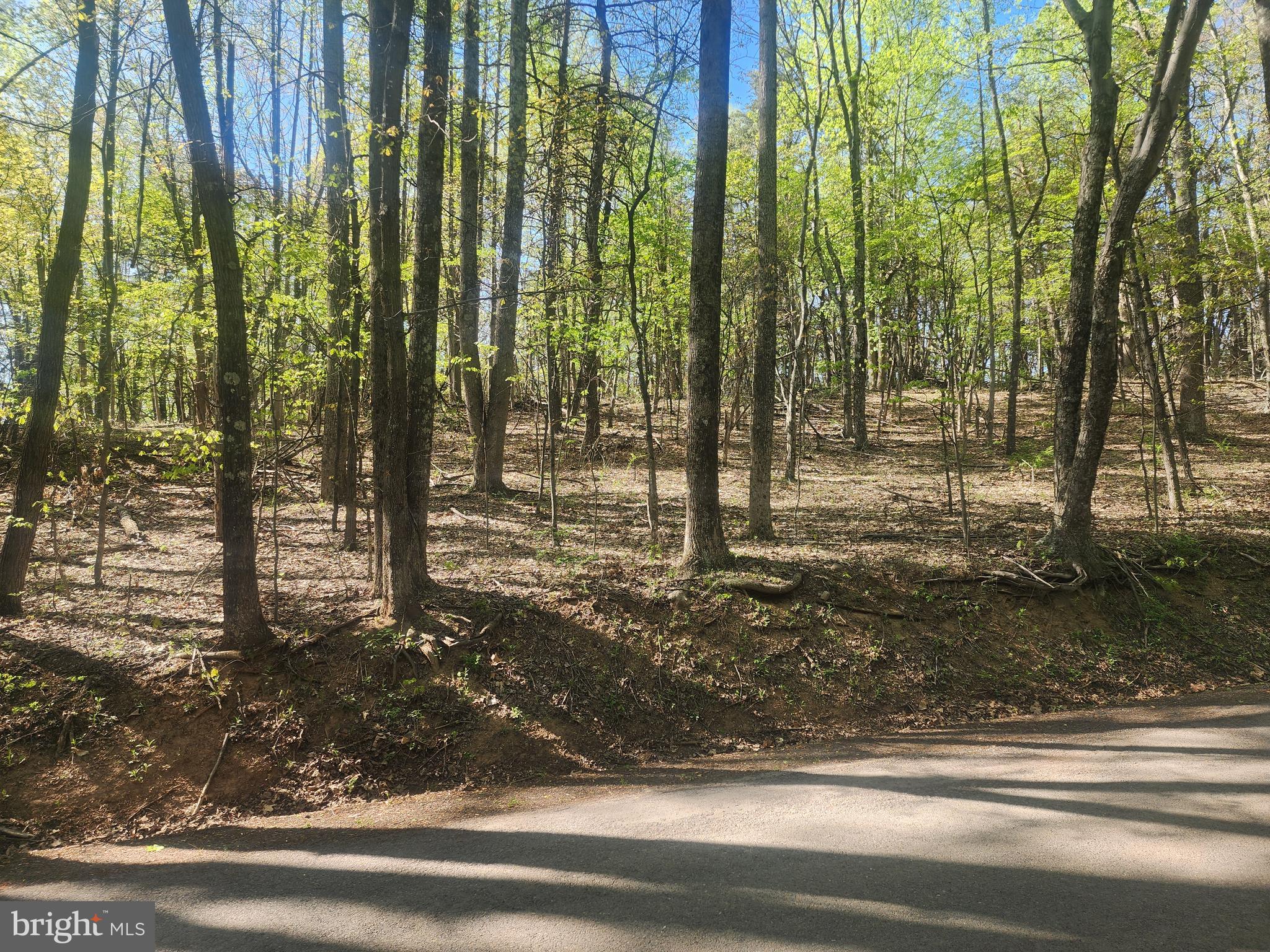 SPRING GAP MOUNTAIN - Land