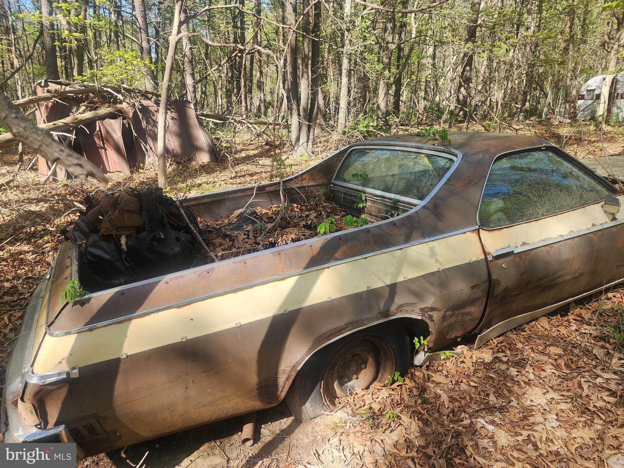 SPRING GAP MOUNTAIN - Land