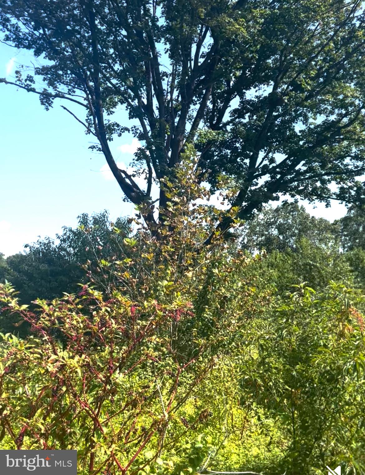 2954 S BLACK HORSE PIKE