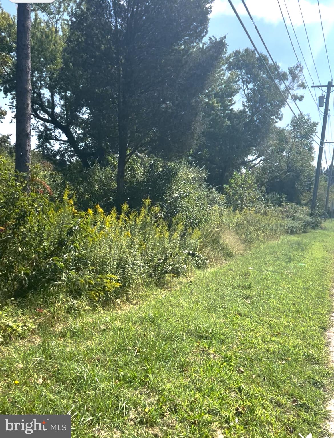 2954 S BLACK HORSE PIKE