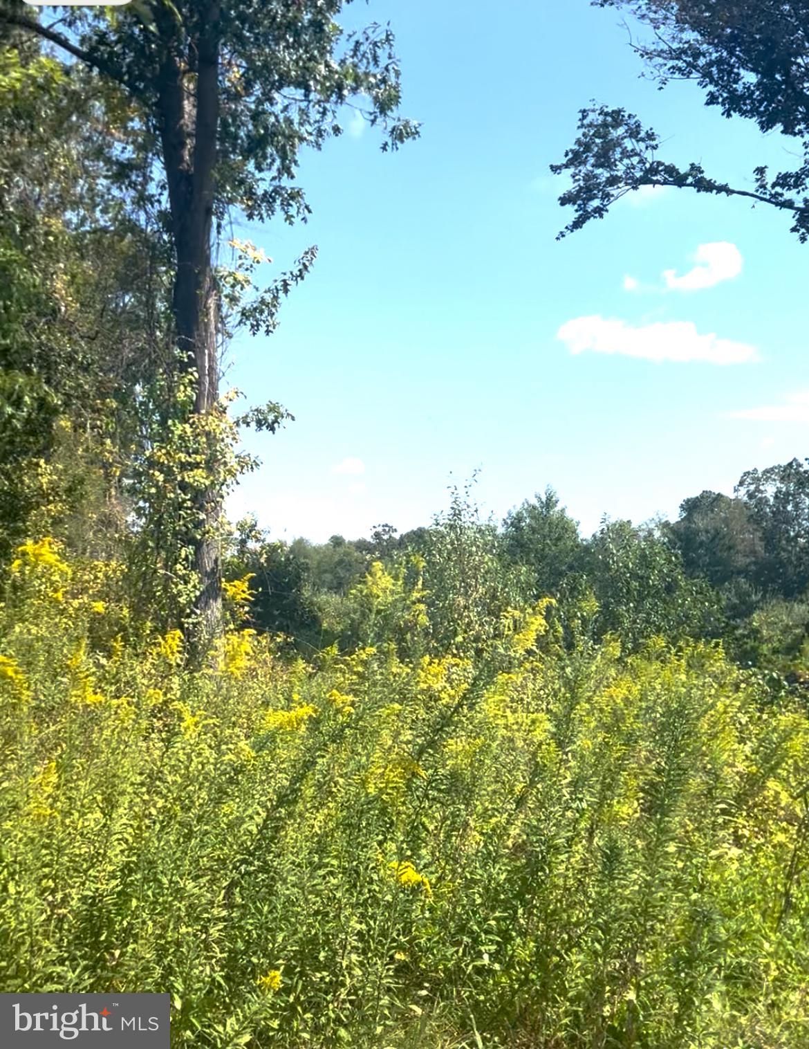 2954 S BLACK HORSE PIKE