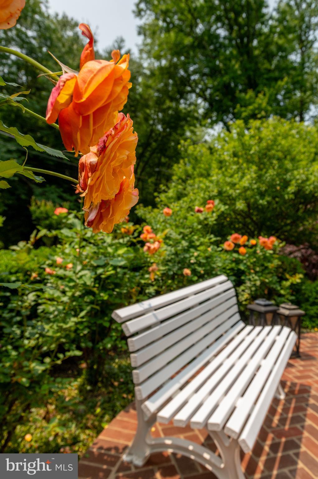 LANGLEY FOREST - Residential