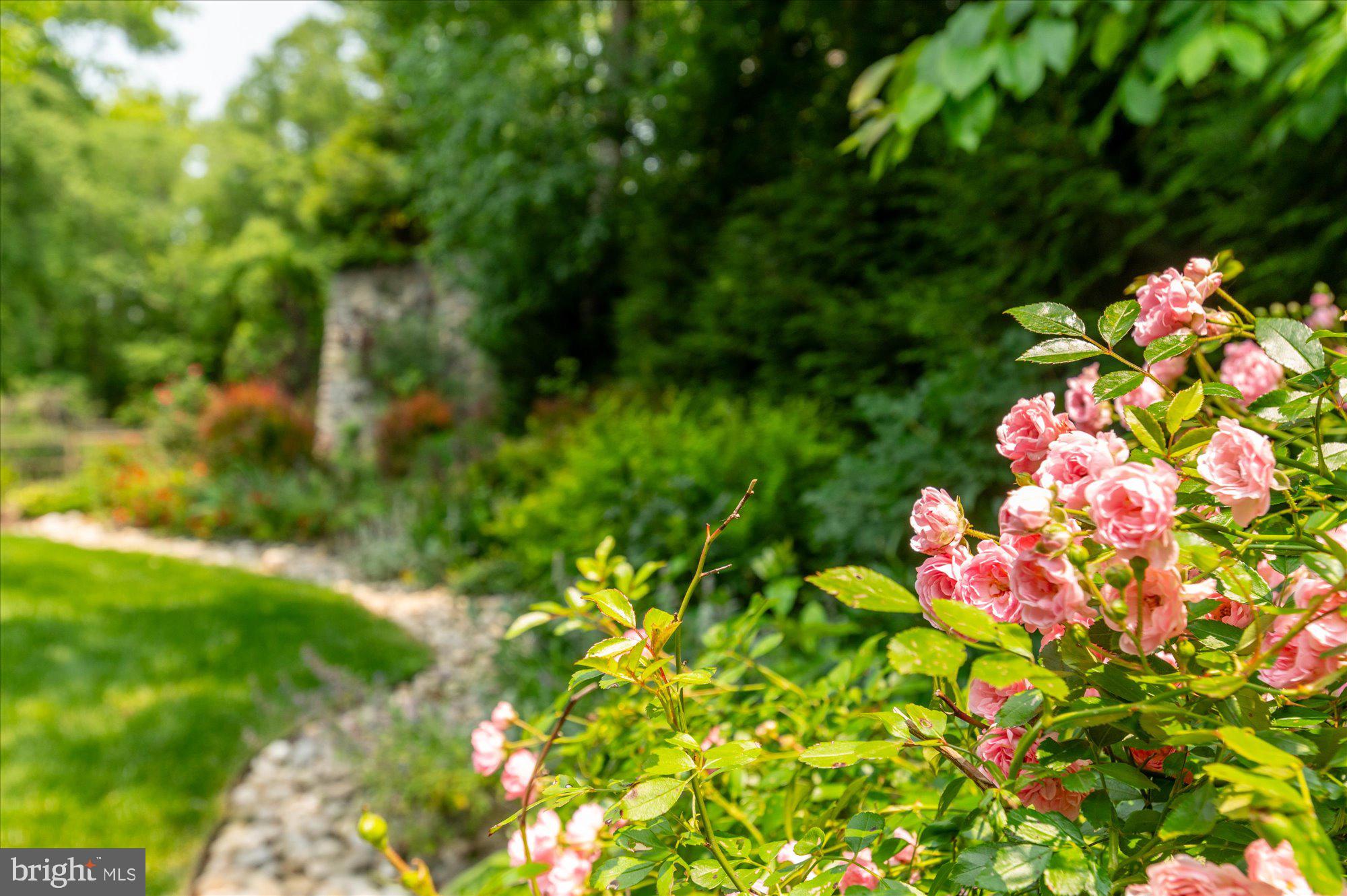 LANGLEY FOREST - Residential