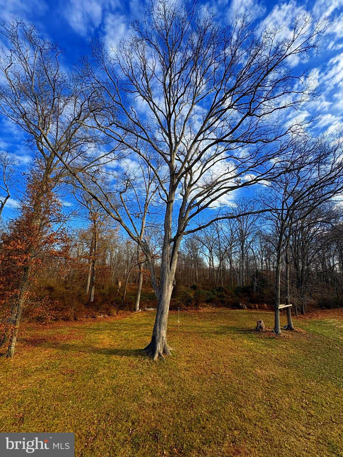 24974 FIRST HARVEST COURT