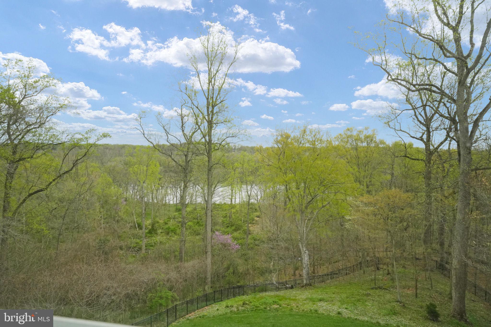 FALCON RIDGE - Residential Lease