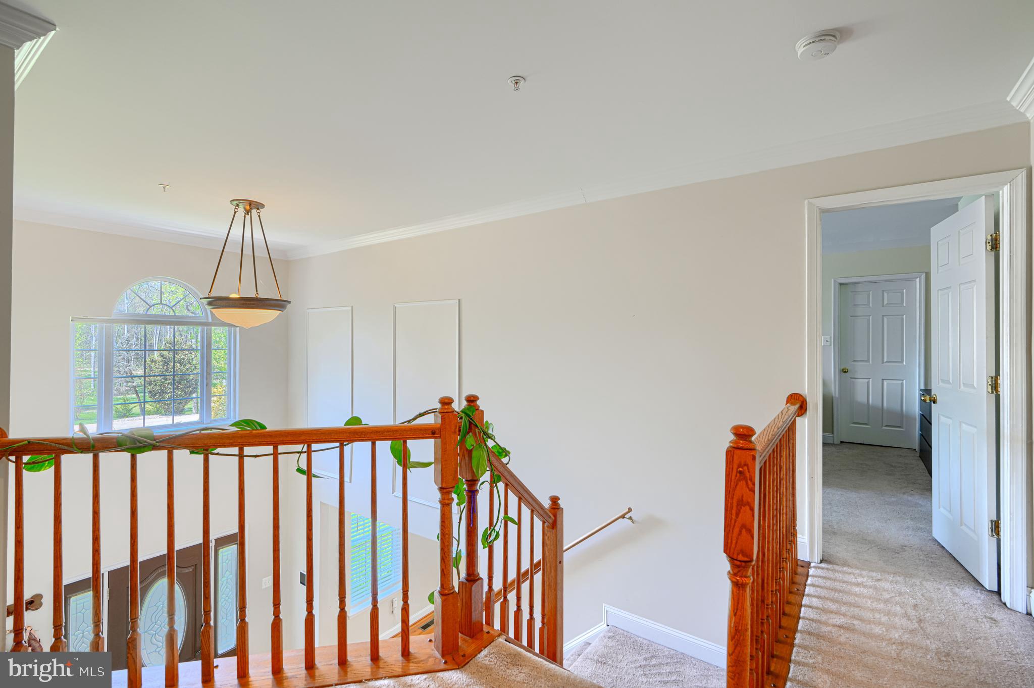 PROSPECT WOODS - Residential