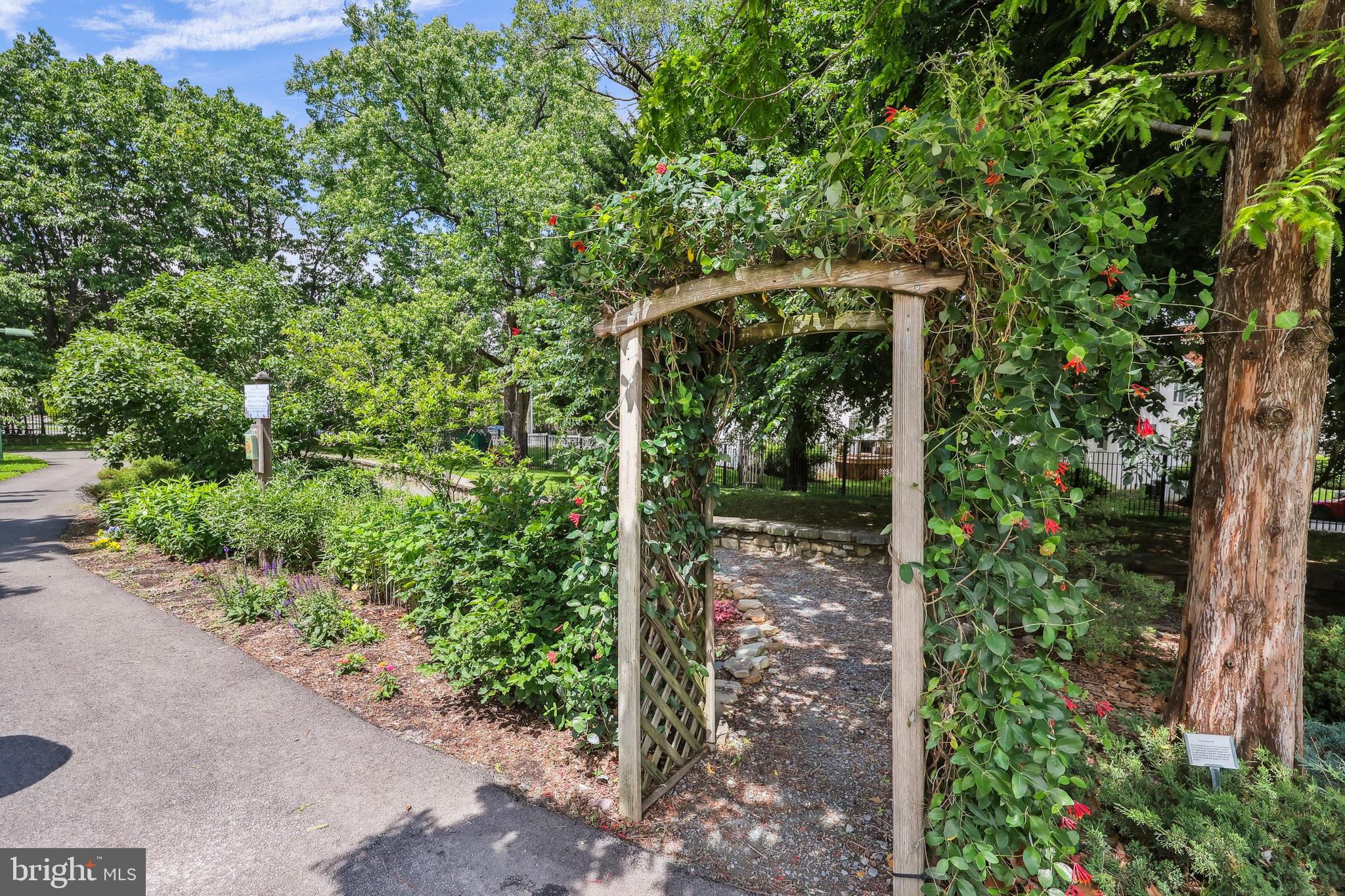 ARLINGTON VILLAGE COURTYARD - Residential