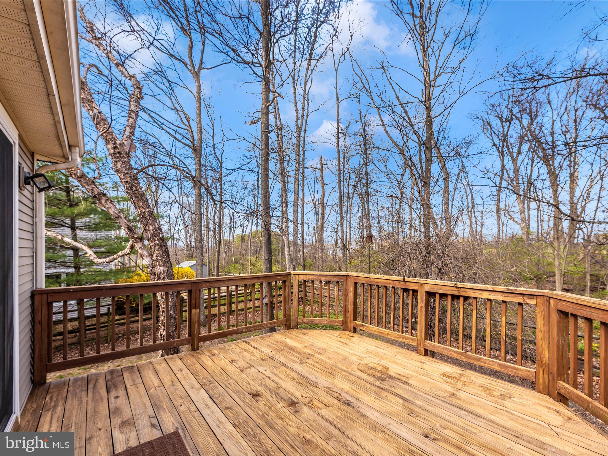 THE MEADOW AT NEW MARKET - Residential