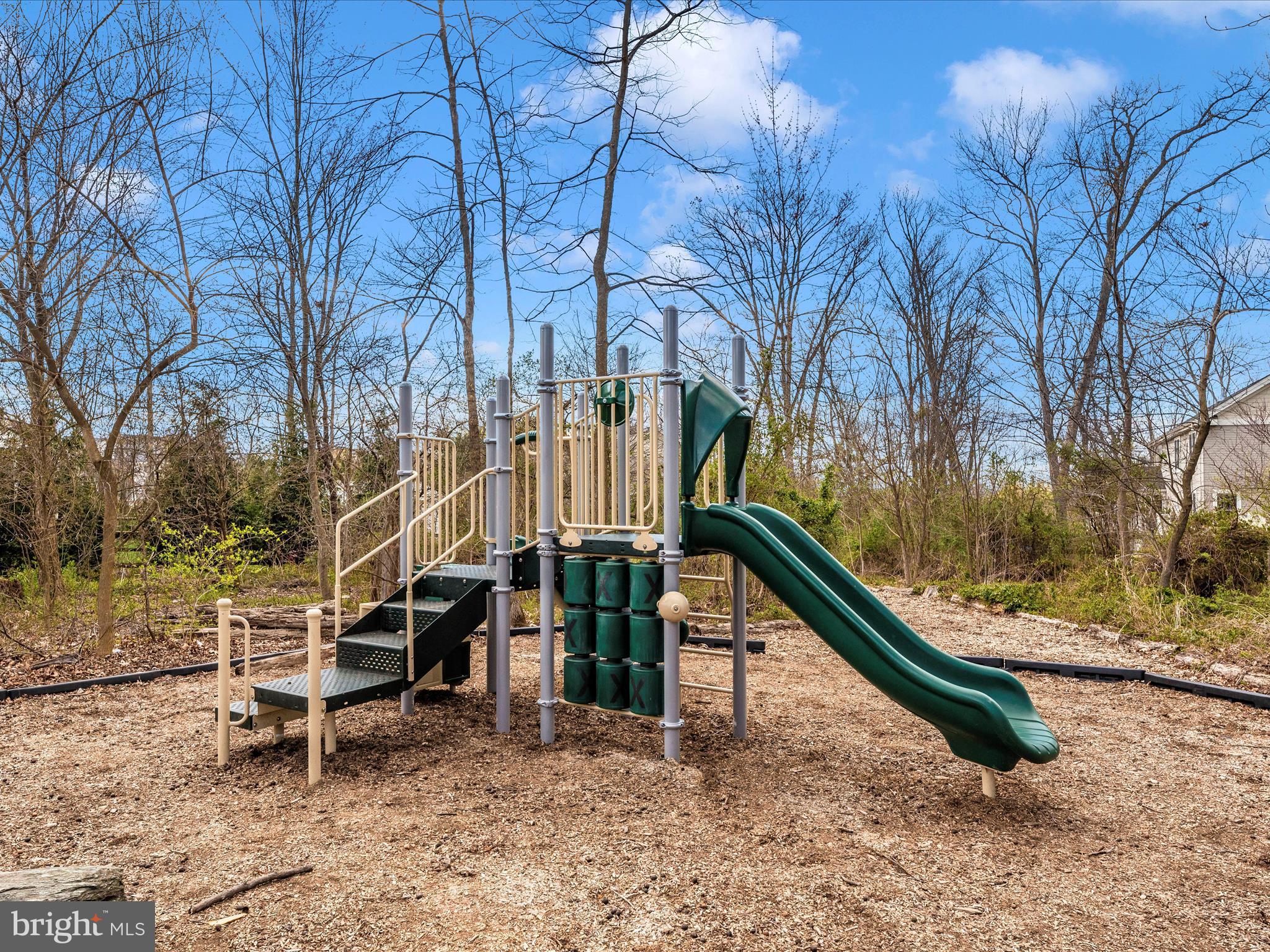 THE MEADOW AT NEW MARKET - Residential