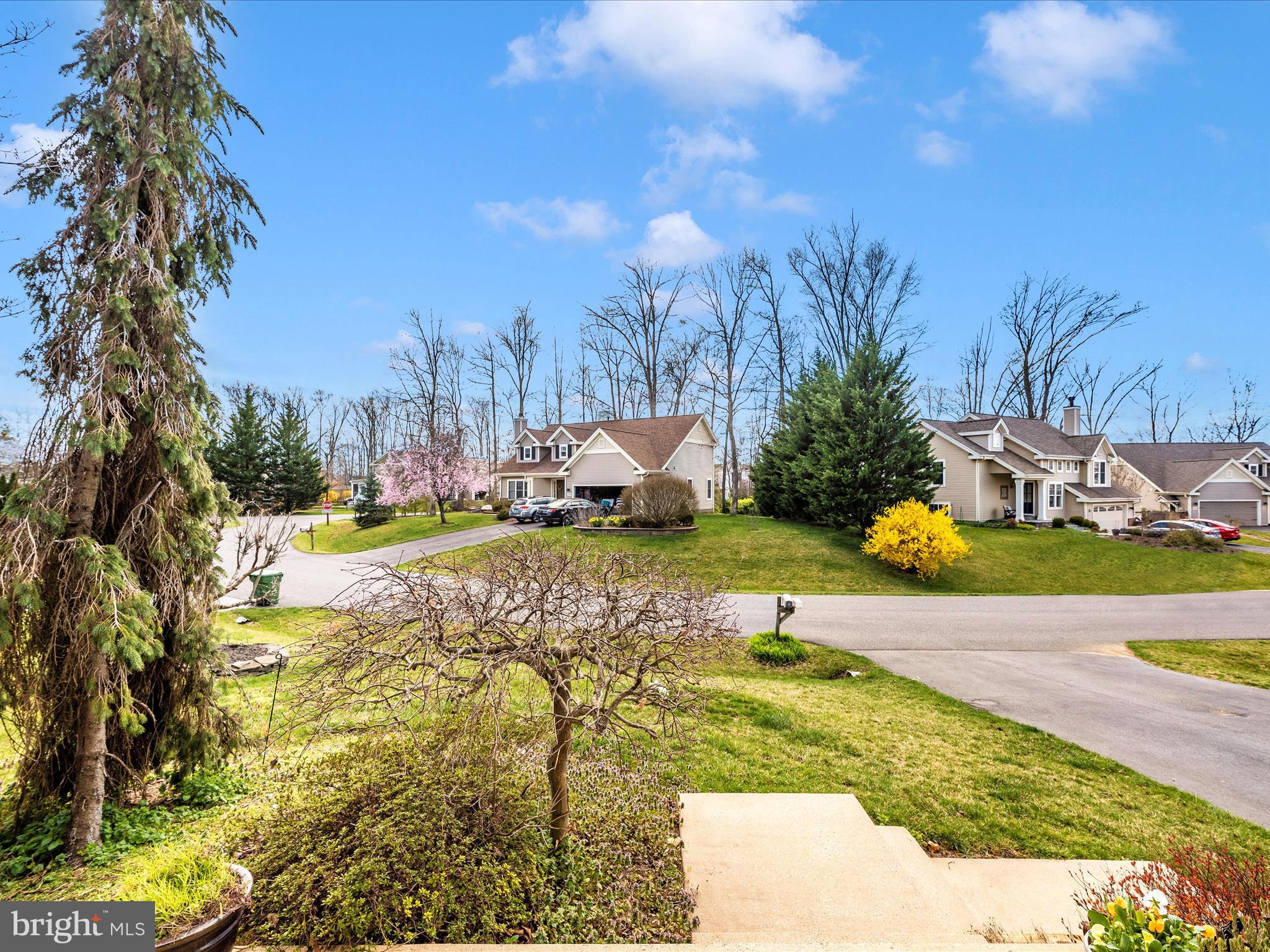 THE MEADOW AT NEW MARKET - Residential