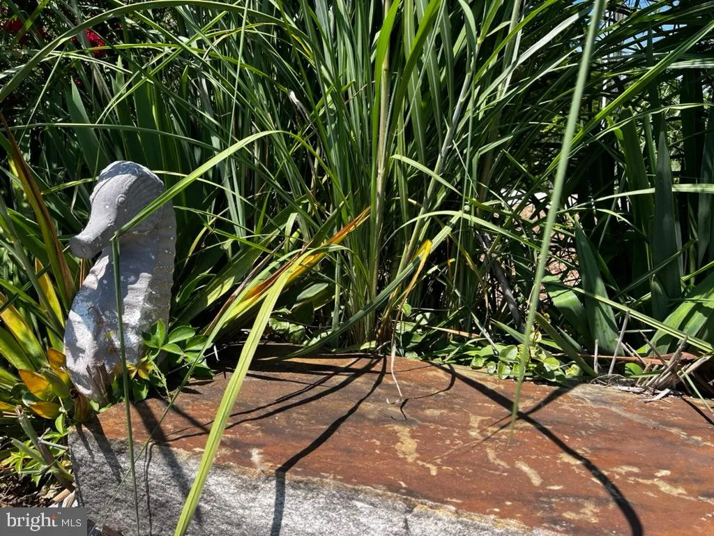 Milton, Delaware 19968, United States, 4 Bedrooms Bedrooms, ,3 BathroomsBathrooms,Residential,Active,183076