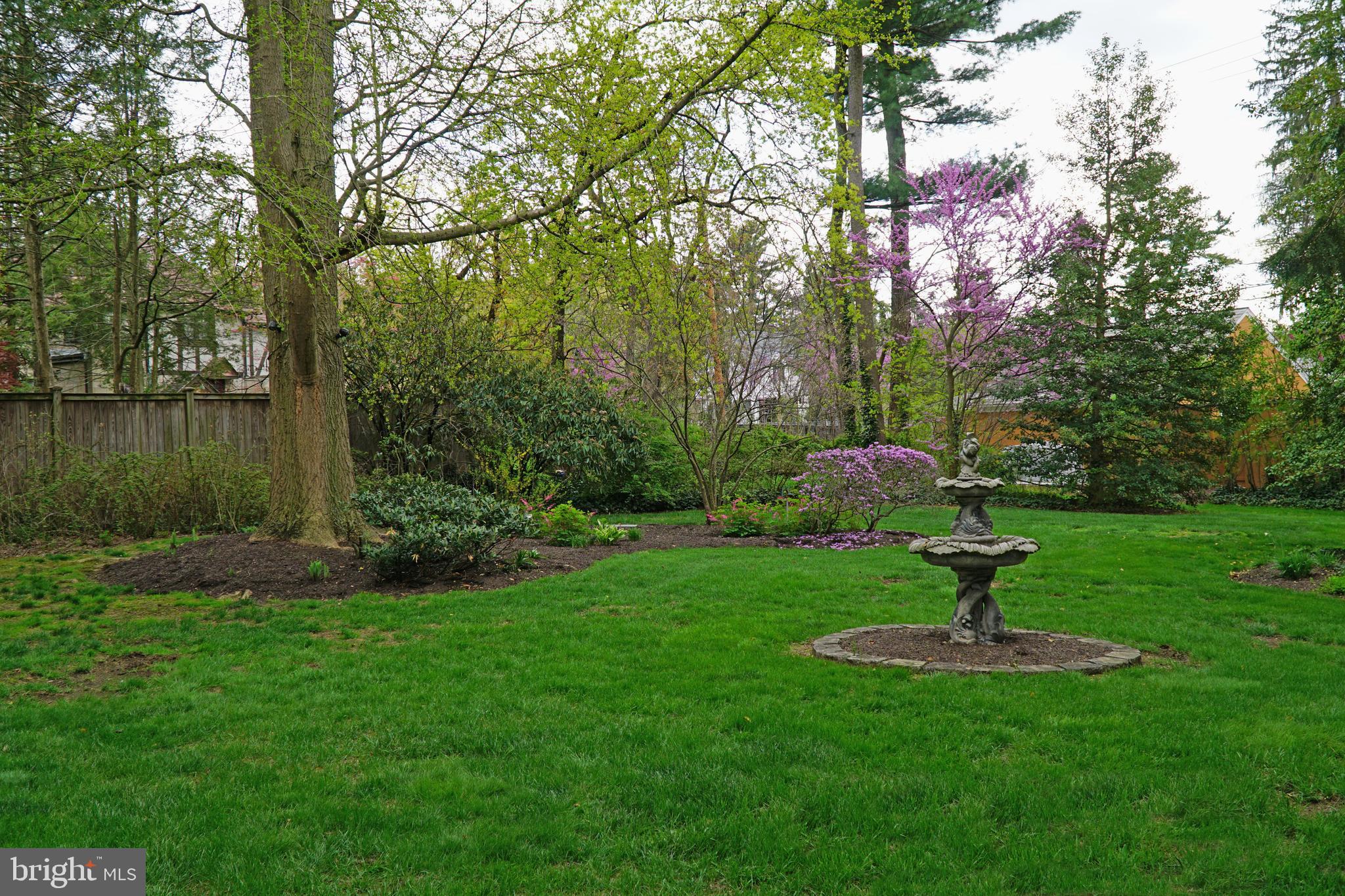 SPRINGDALE - Residential