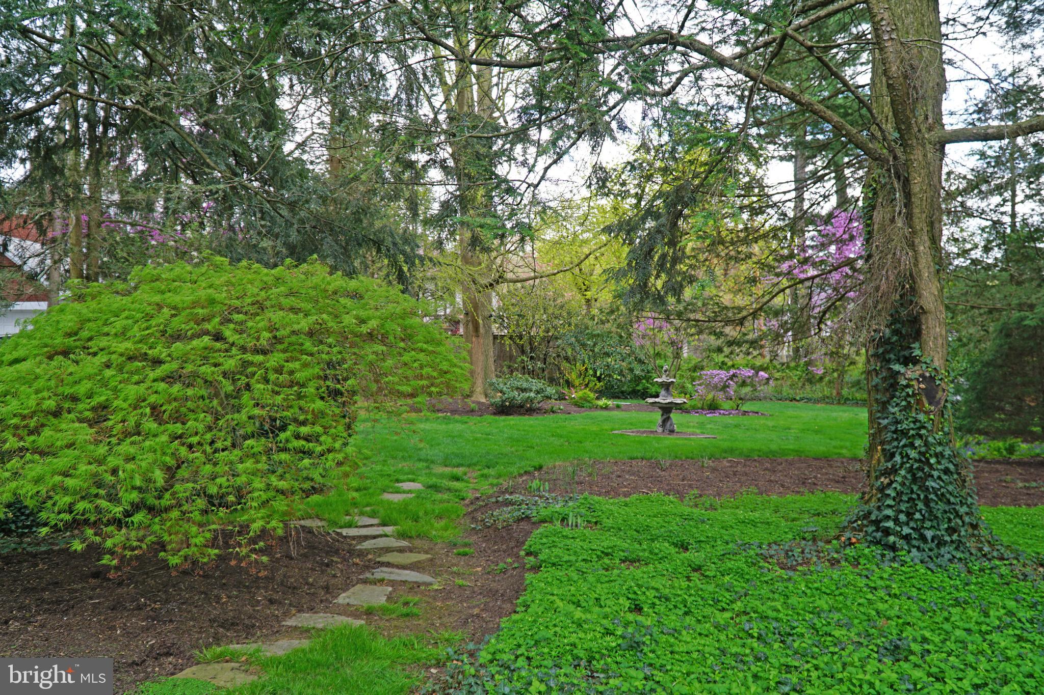 SPRINGDALE - Residential