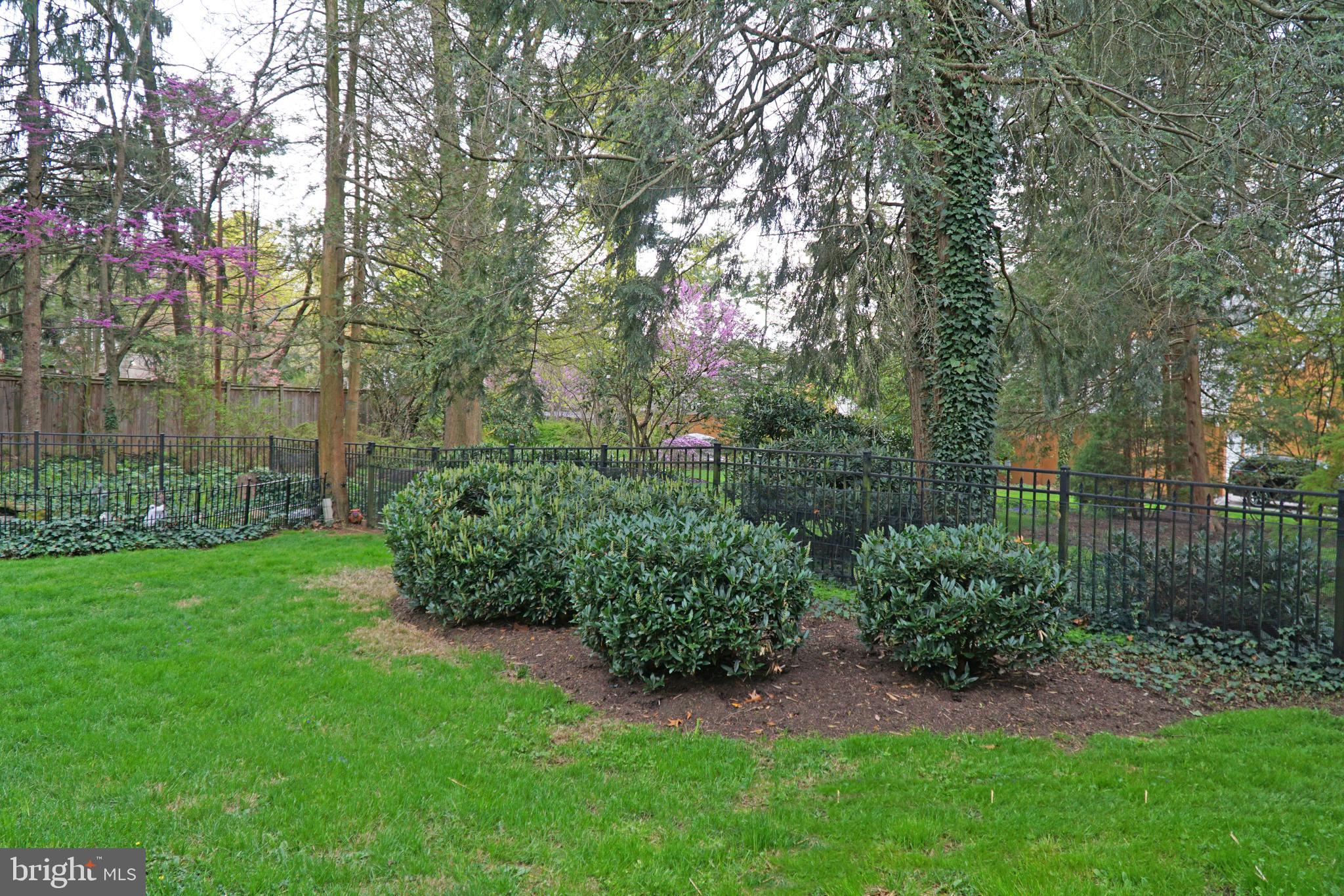 SPRINGDALE - Residential