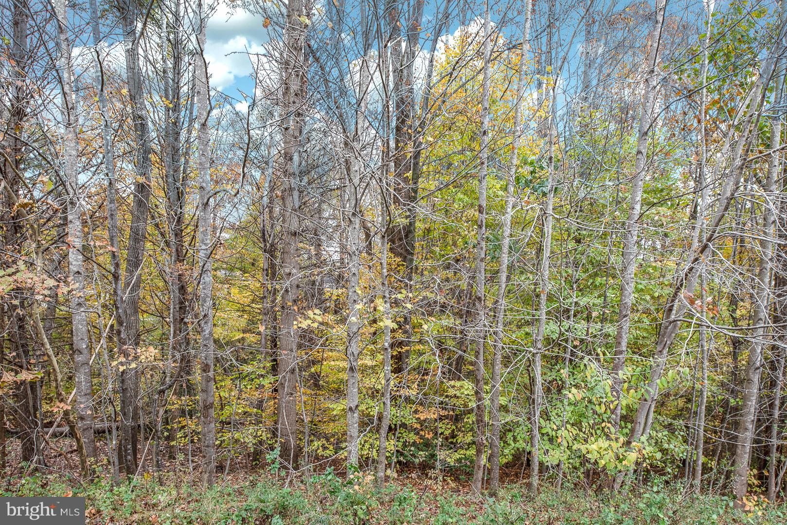 ASHLAND - Residential