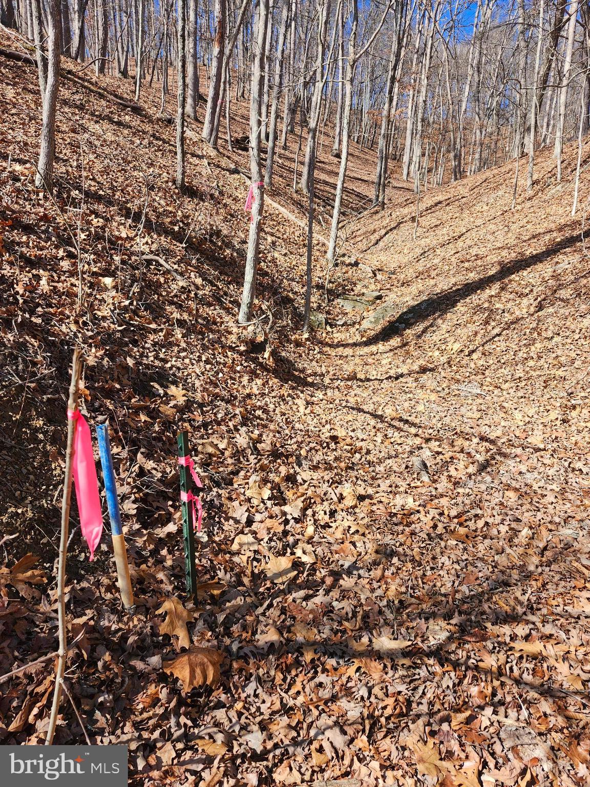 LONG ACRE ESTATES - Land