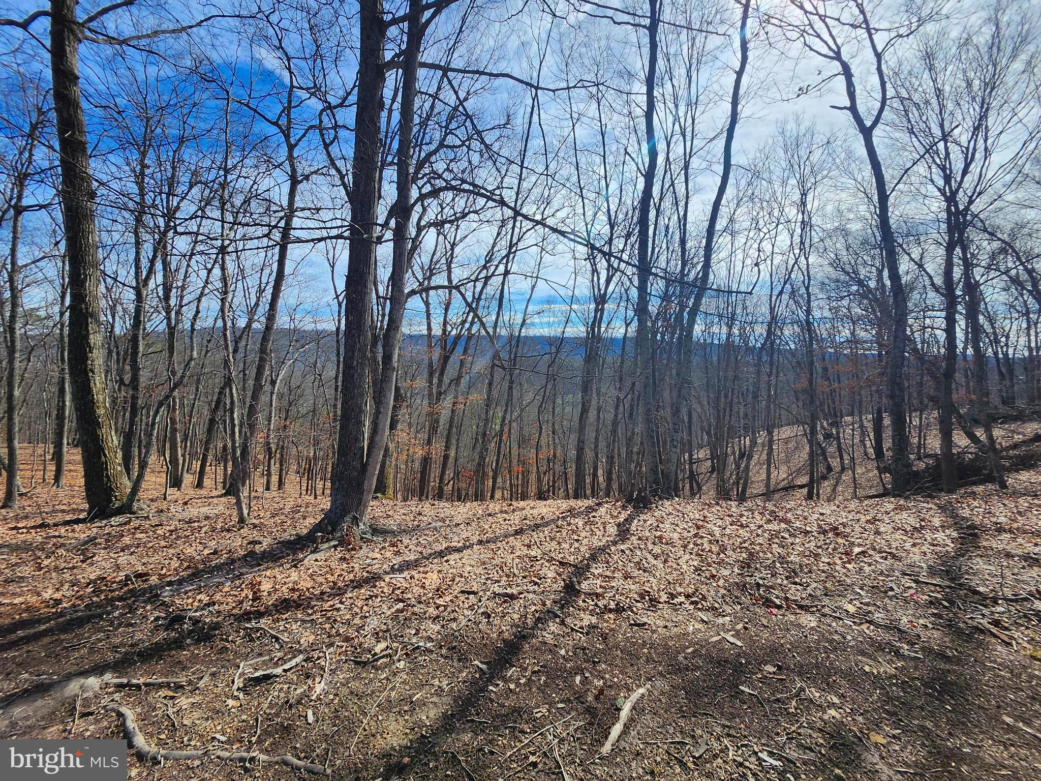 LONG ACRE ESTATES - Land