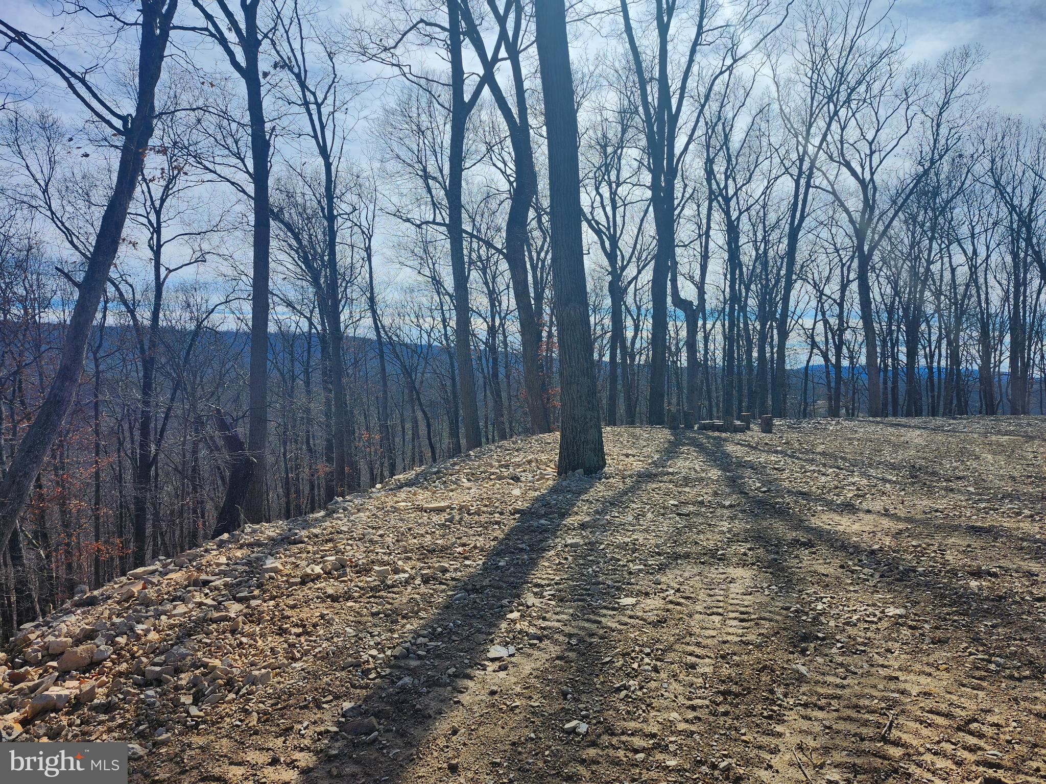 LONG ACRE ESTATES - Land