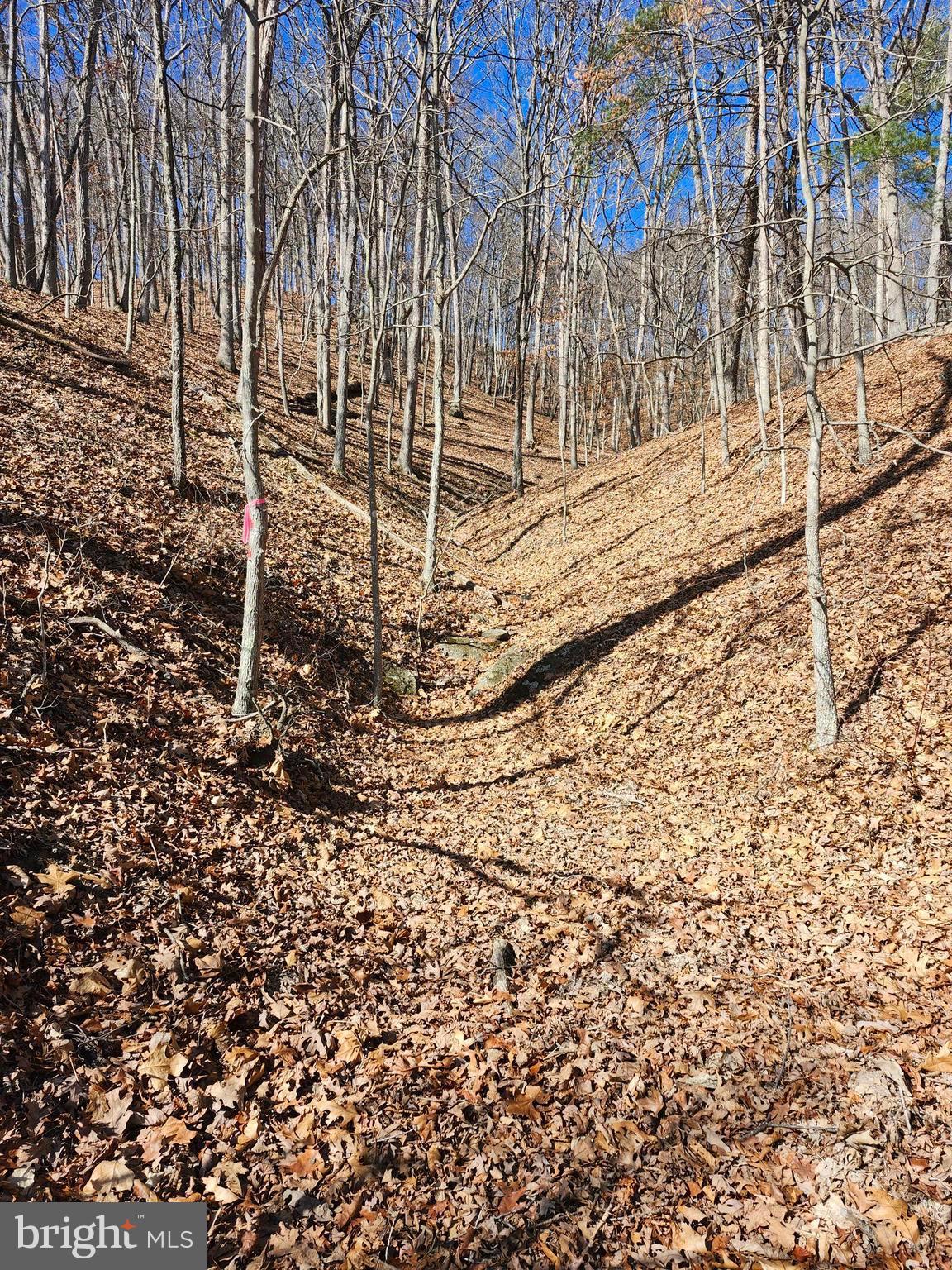 LONG ACRE ESTATES - Land