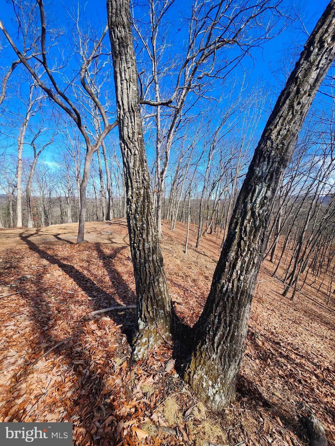 LONG ACRE ESTATES - Land