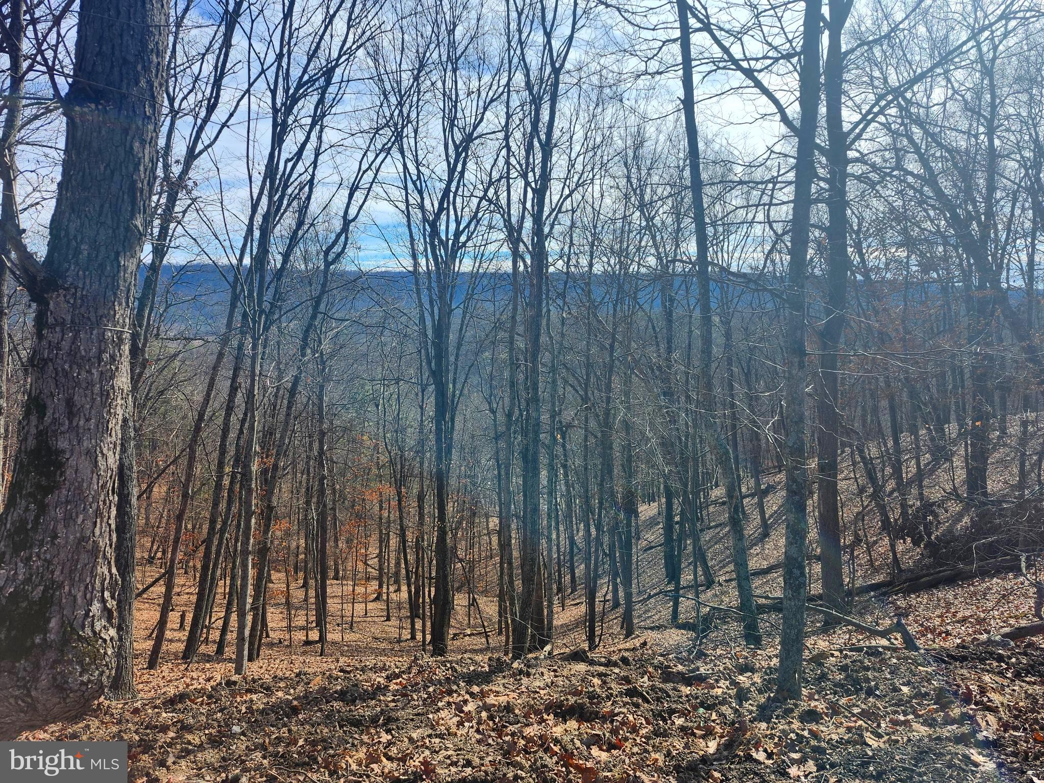 LONG ACRE ESTATES - Land