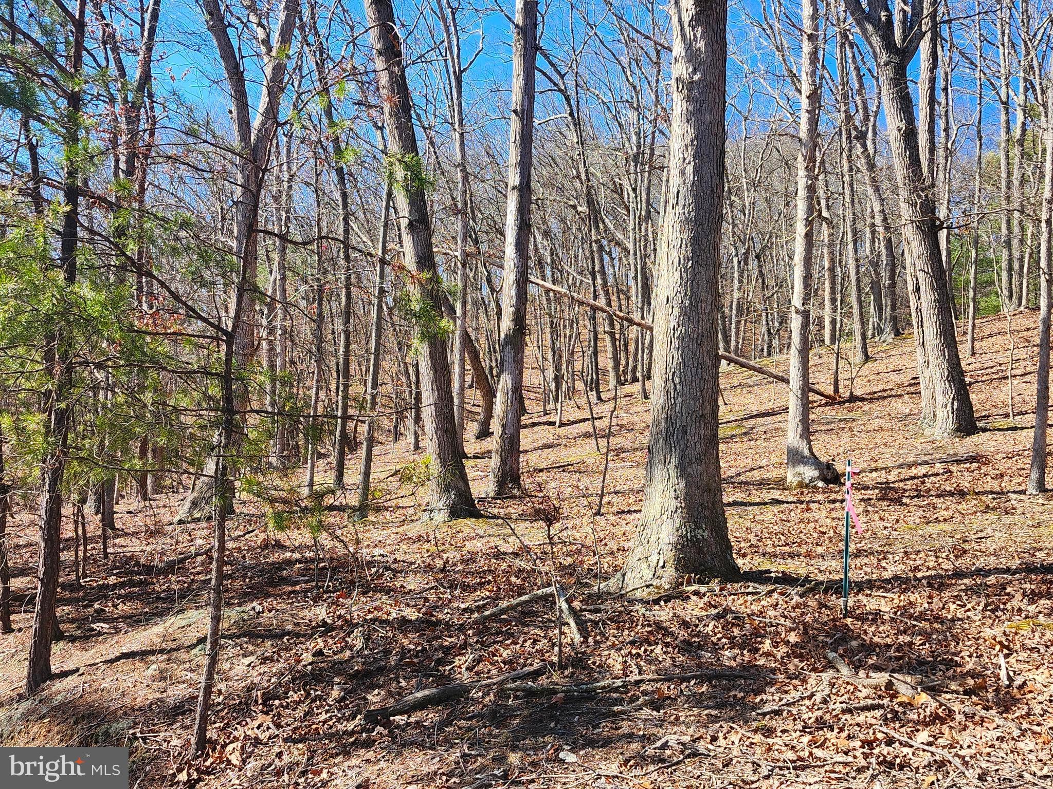 LONG ACRE ESTATES - Land