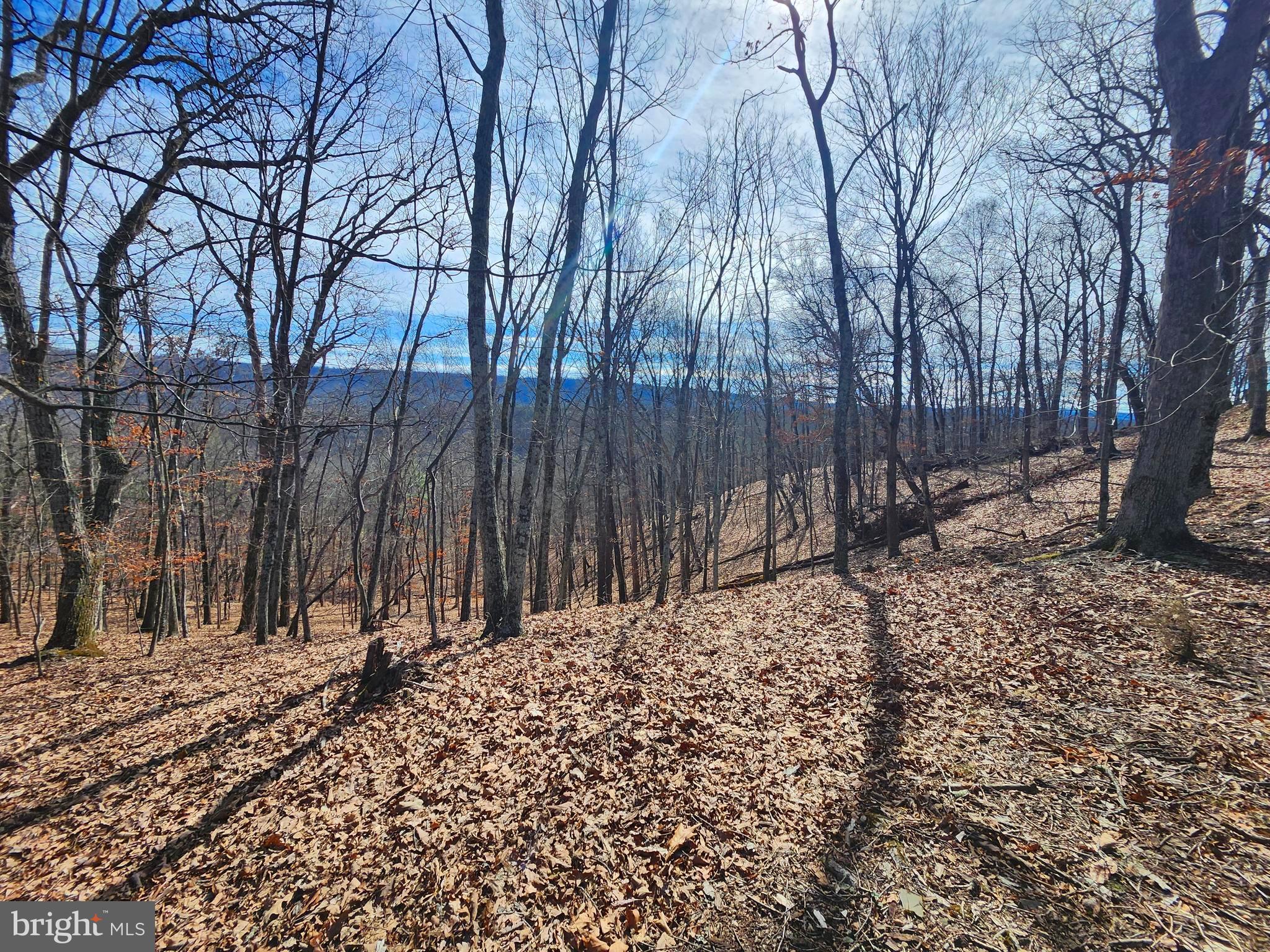 LONG ACRE ESTATES - Land