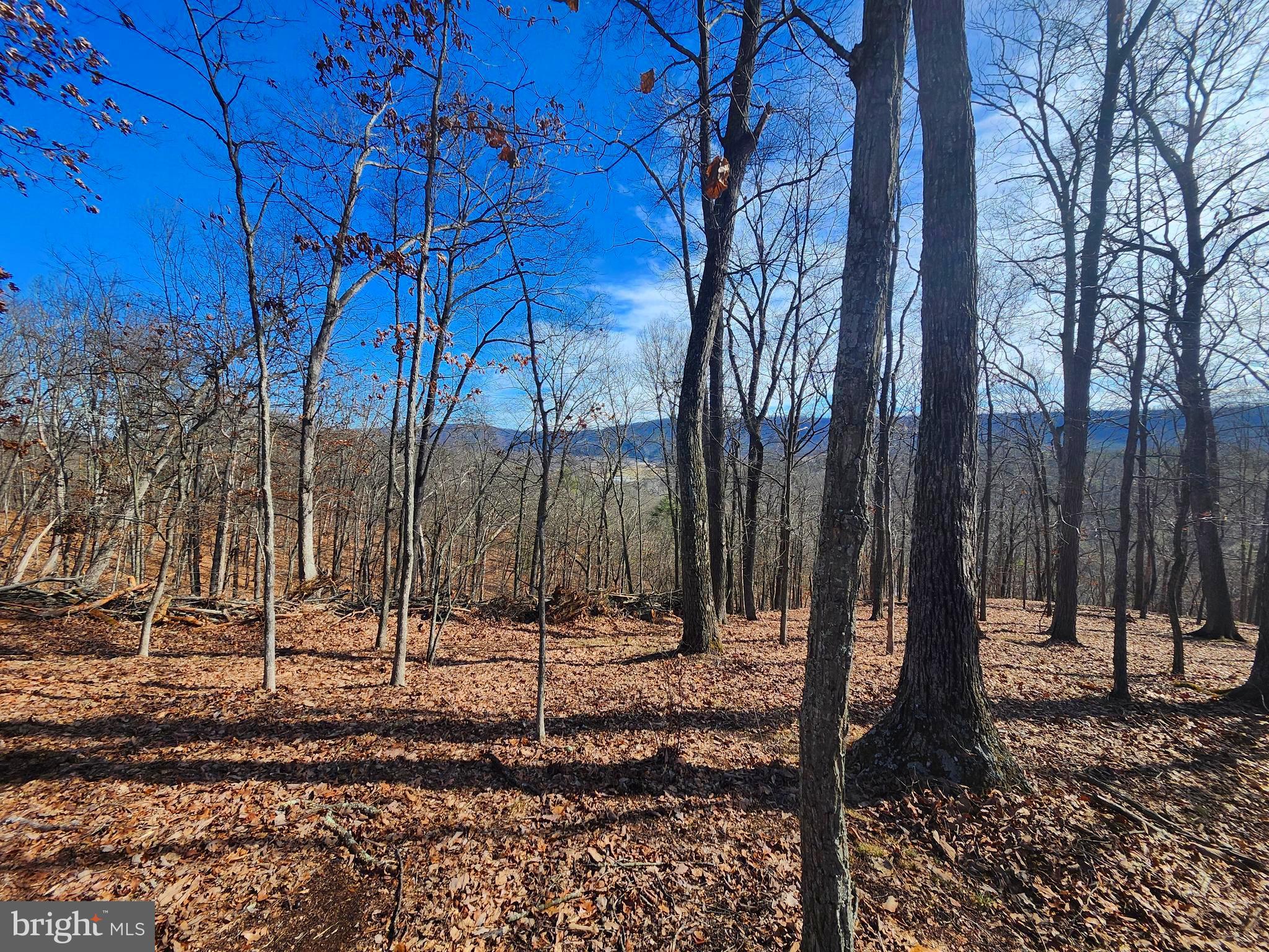 LONG ACRE ESTATES - Land