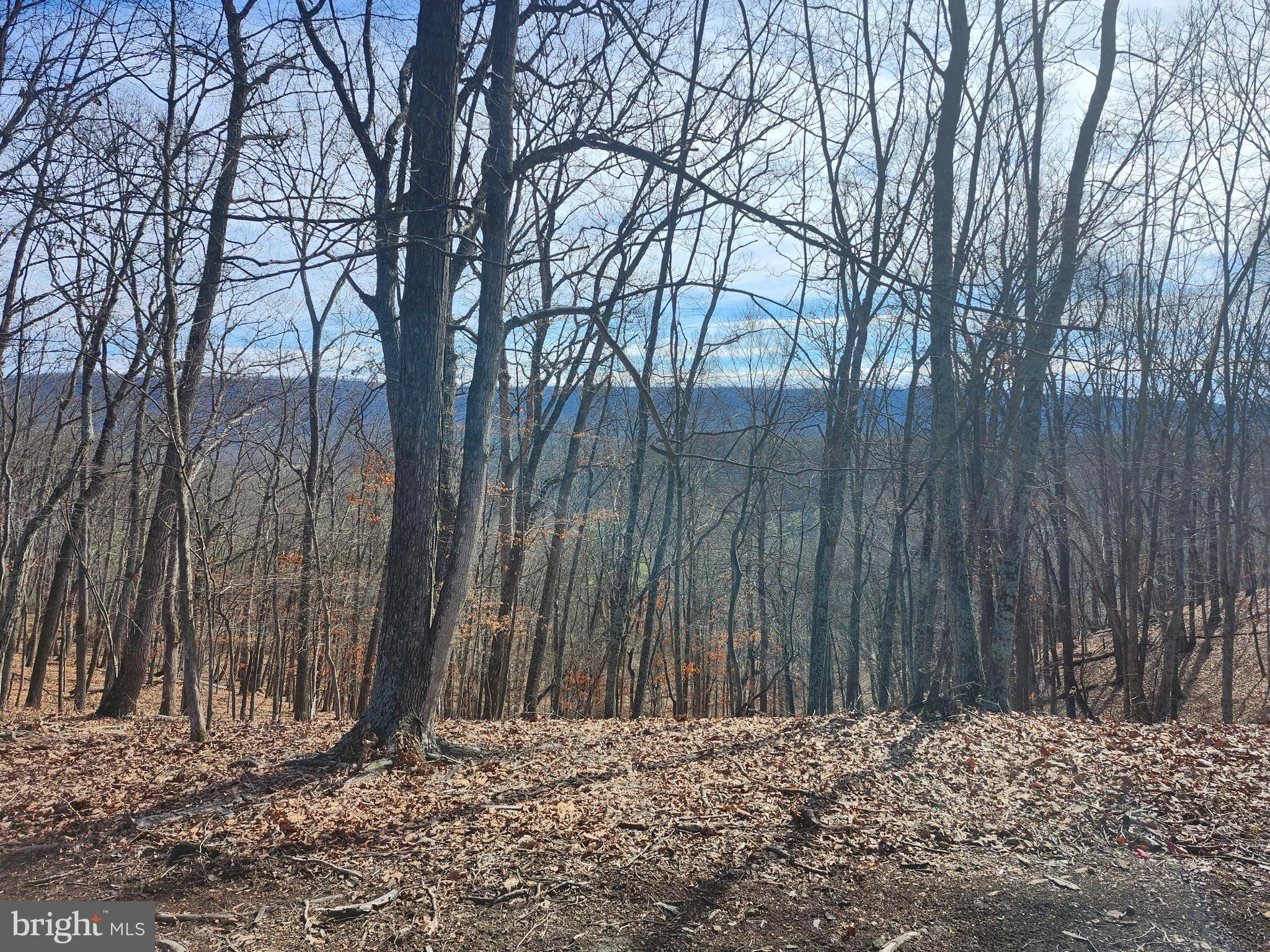 LONG ACRE ESTATES - Land