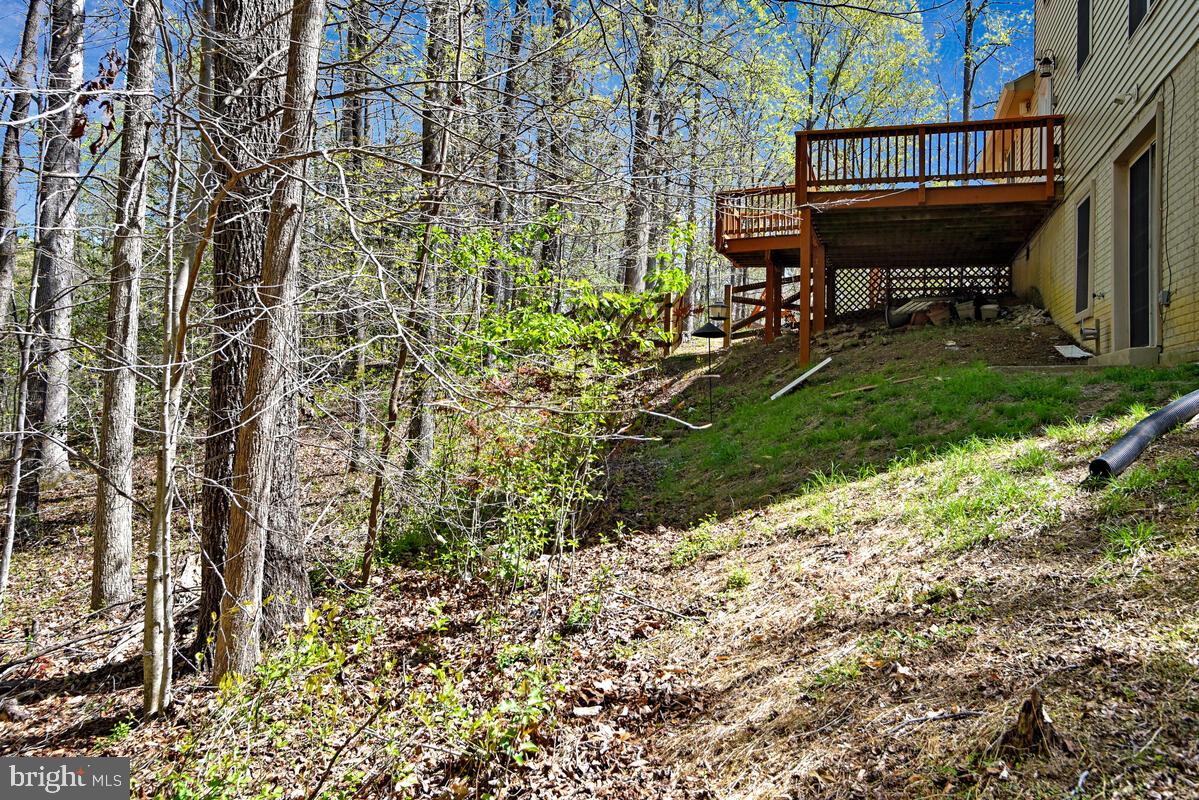 OLDE COUNTRY ESTATES - Residential