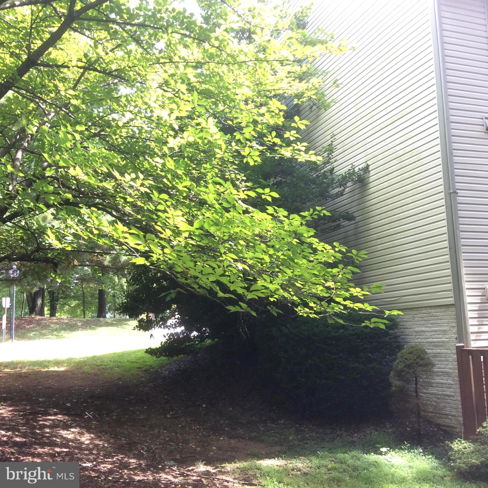 TANGLEWOOD - Residential Lease