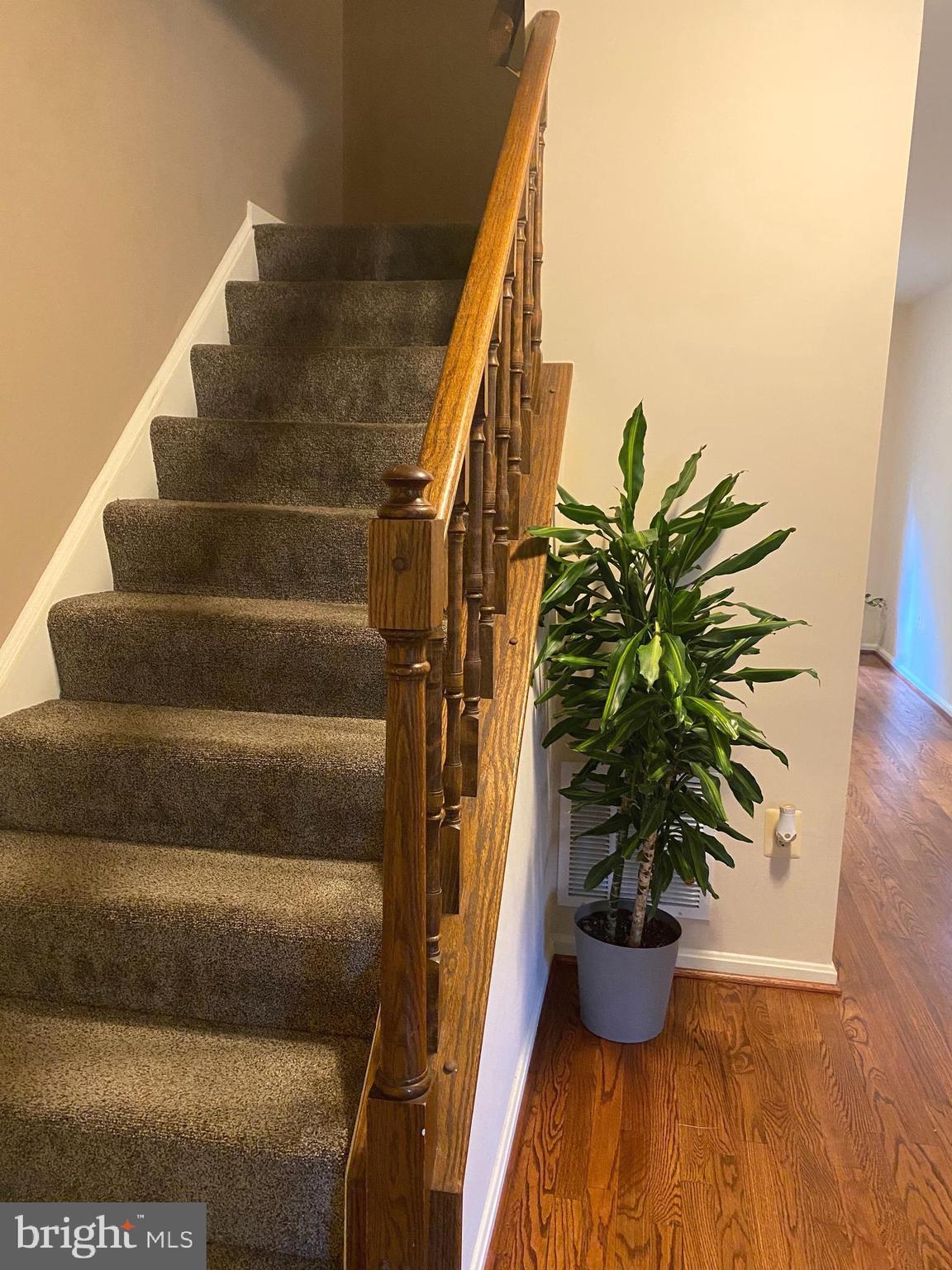 TANGLEWOOD - Residential Lease