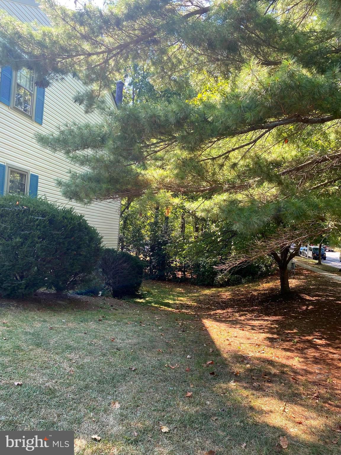 TANGLEWOOD - Residential Lease