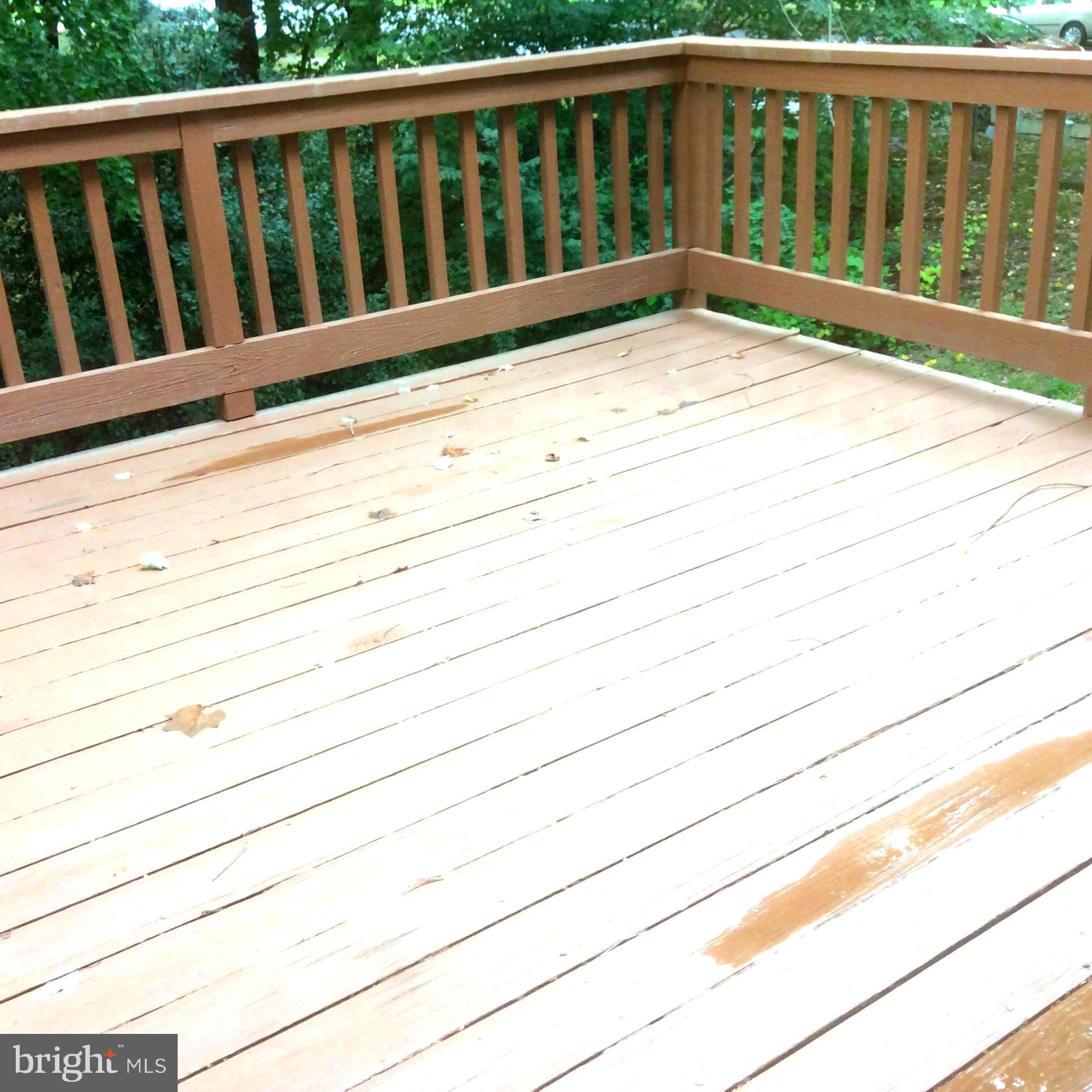 TANGLEWOOD - Residential Lease